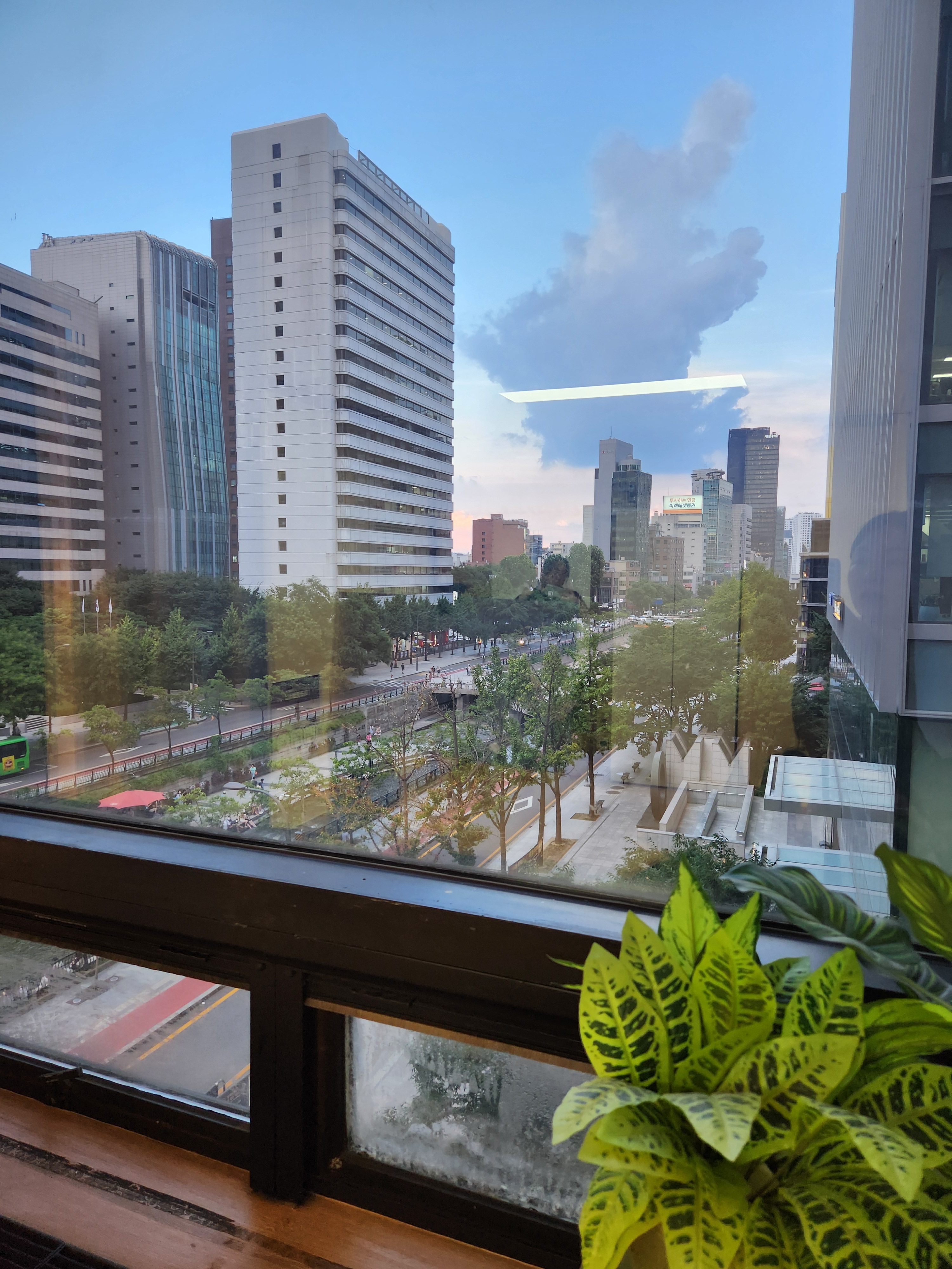 브레인트레이닝센터 광화문점 대표 이미지