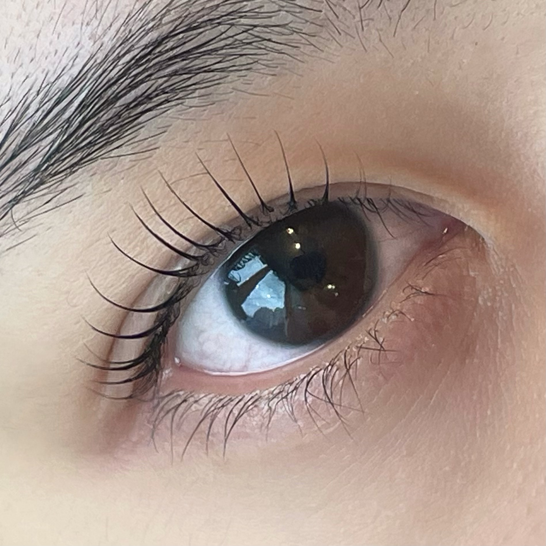 예하