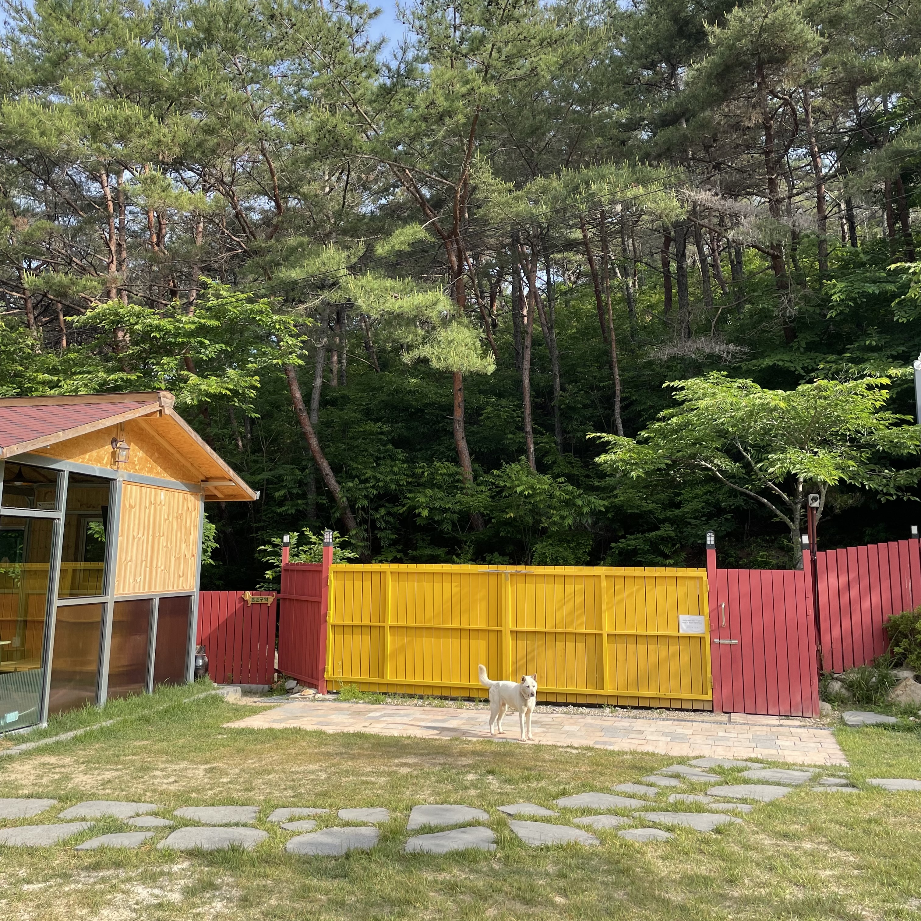 멍포레스트 대표 이미지