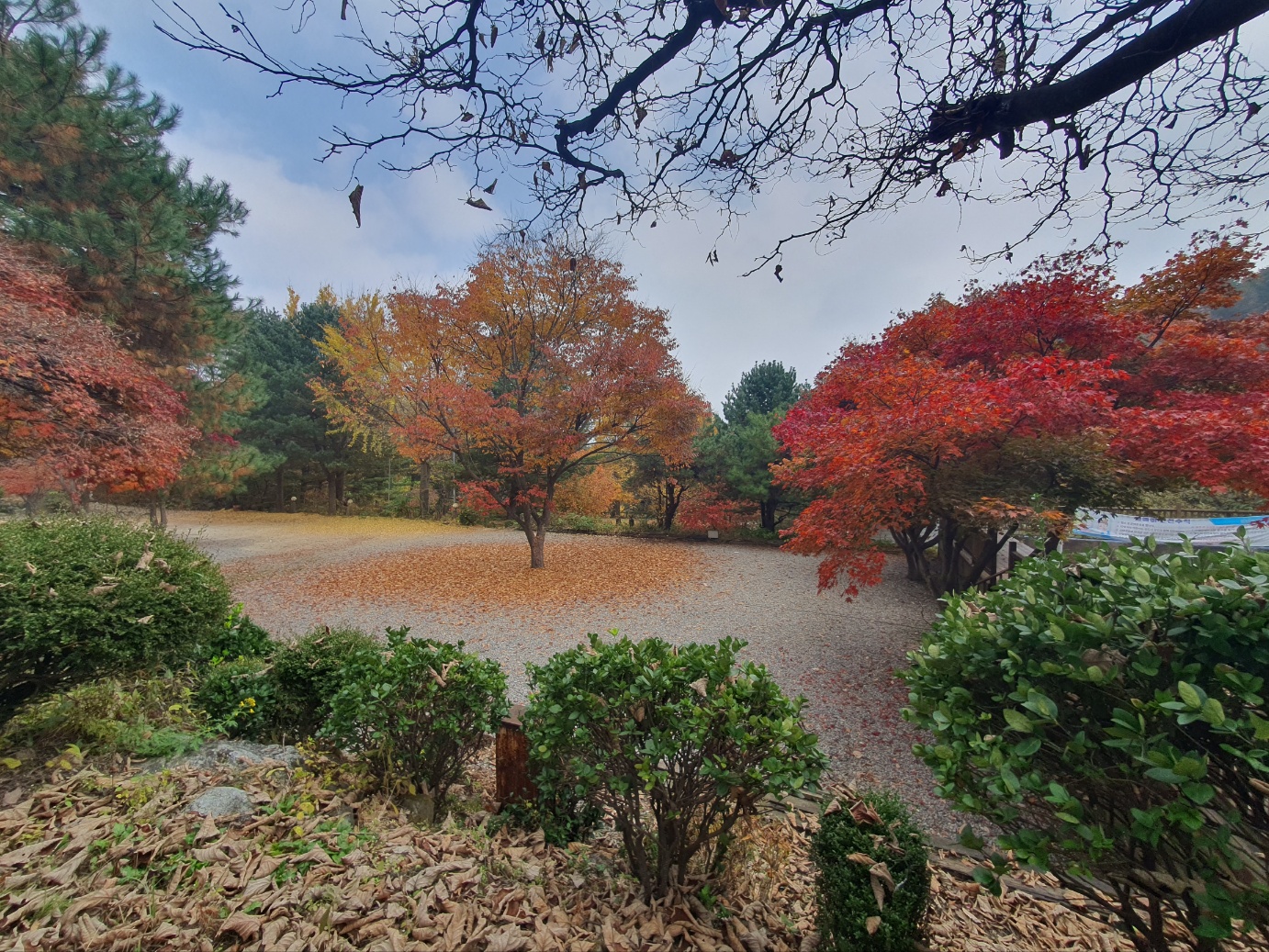 수산아카데미캠핑장