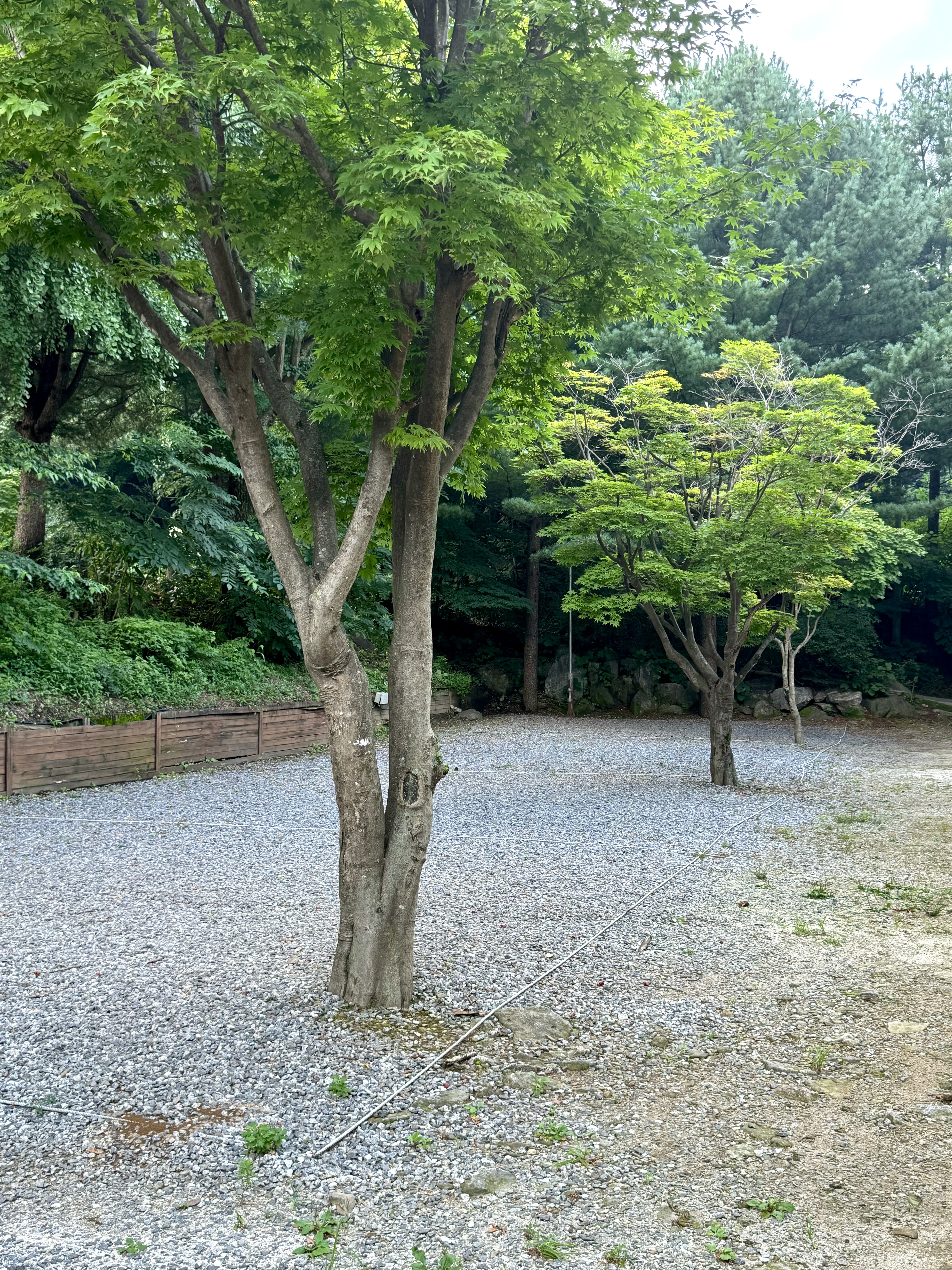 수산아카데미캠핑장