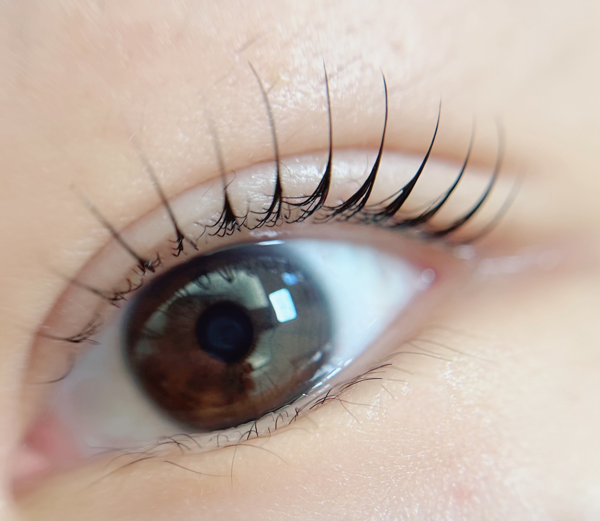 제이끌림 대표 이미지