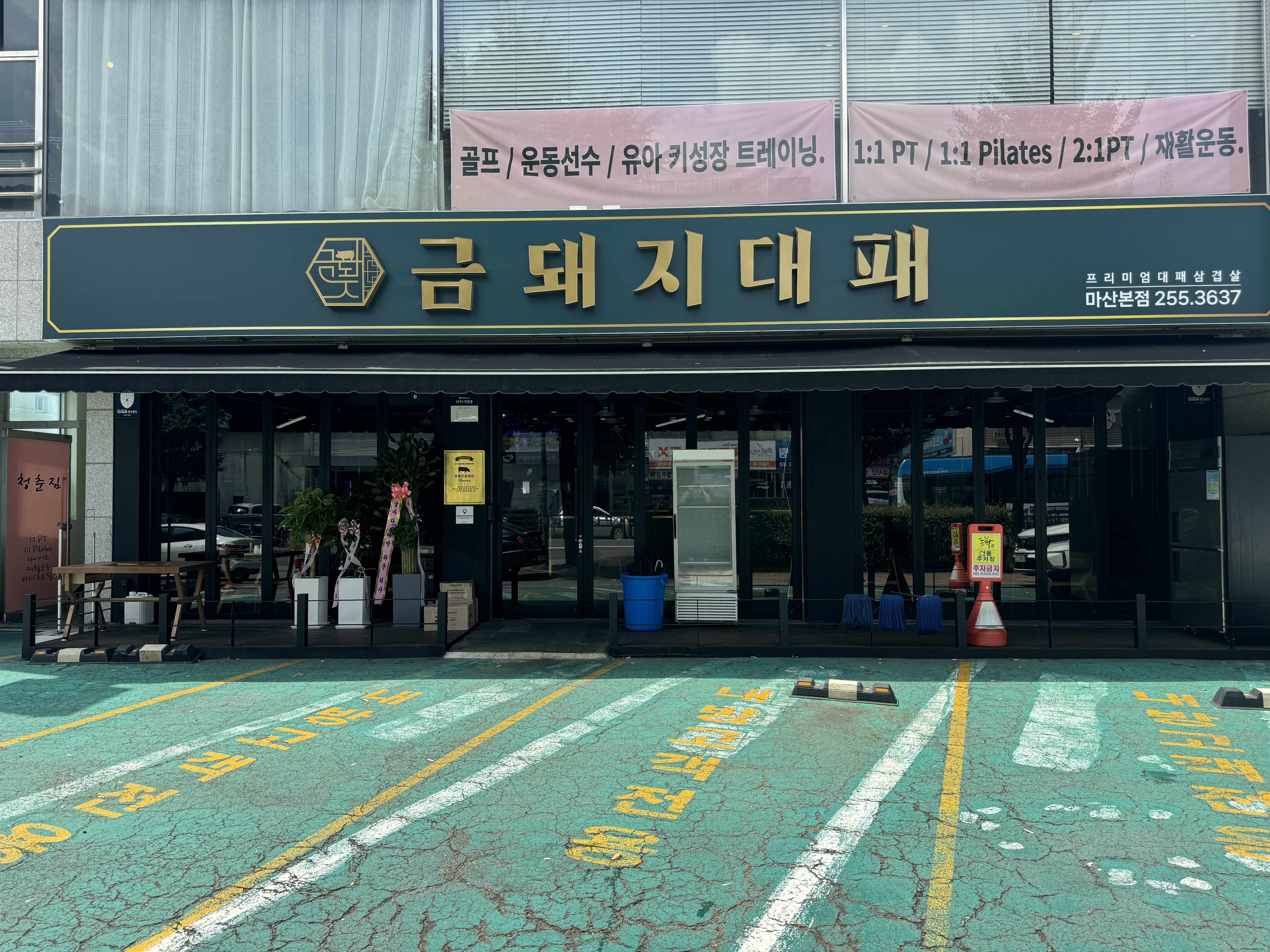 금돼지대패