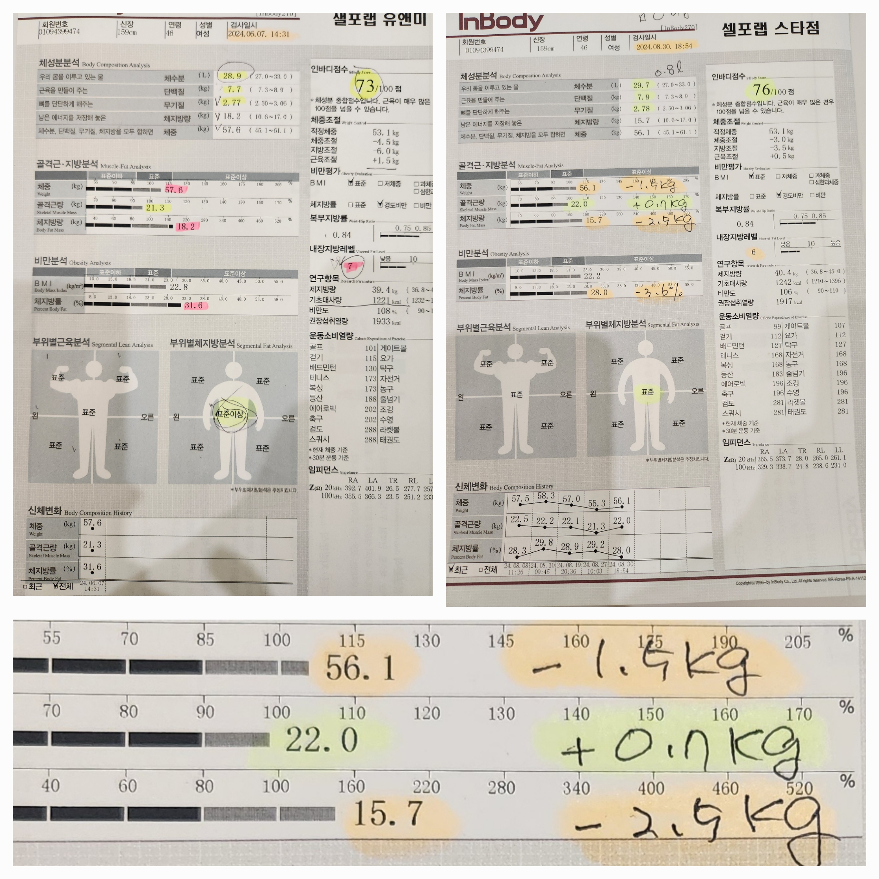 셀포랩 스타