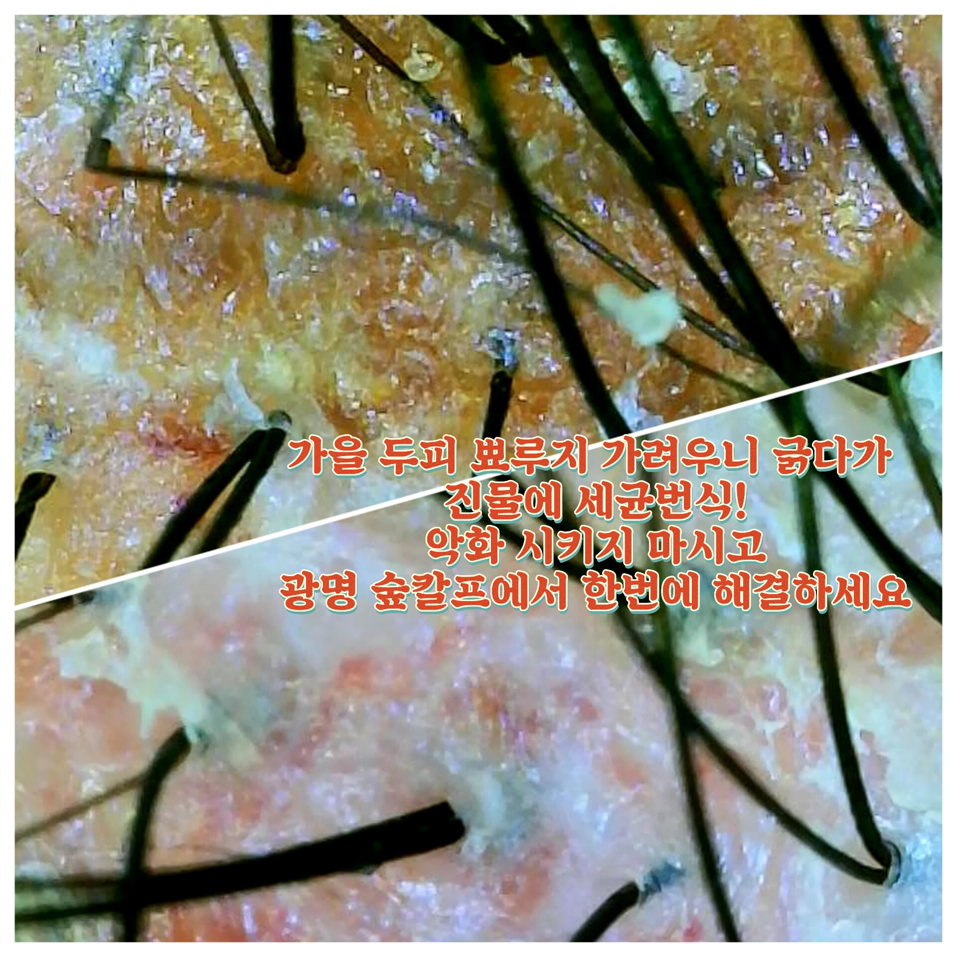 뷰티프레소&숲칼프 광명교육센터