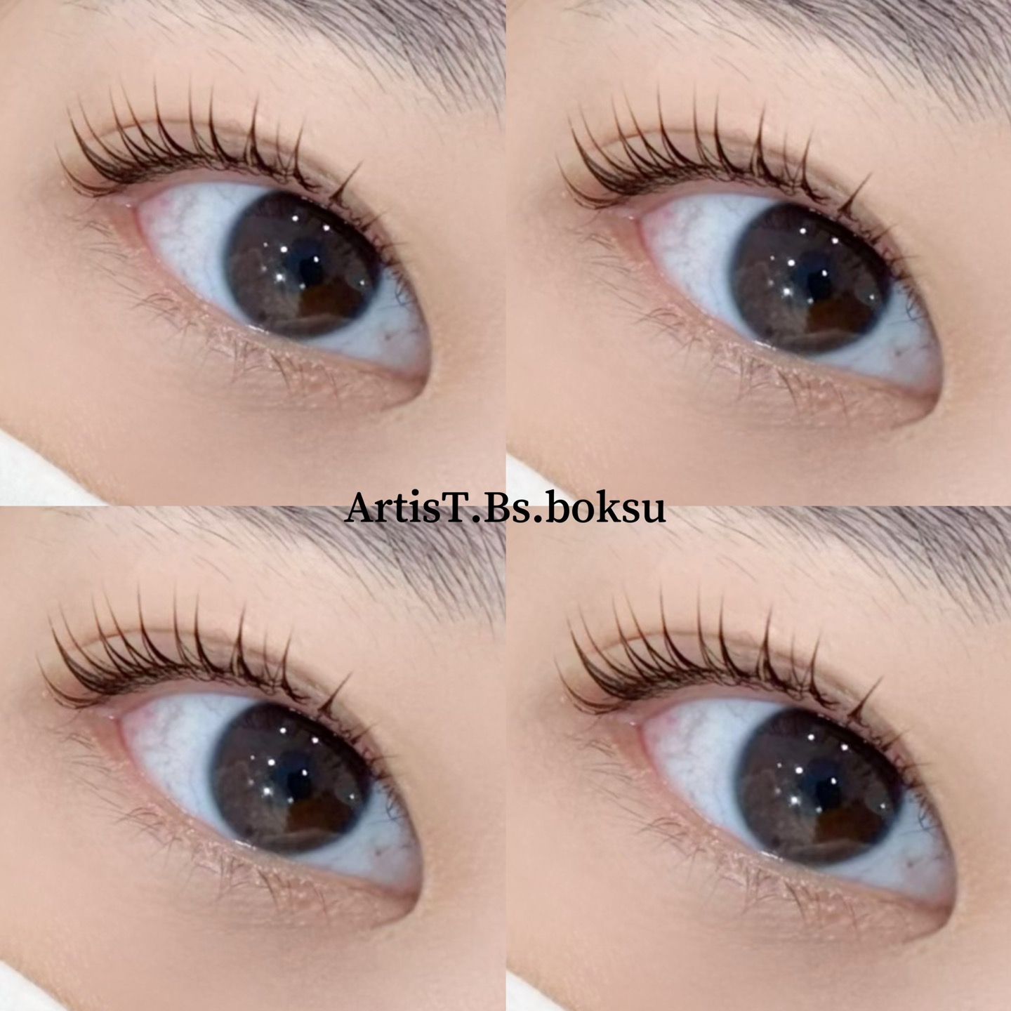 아티스트비에스 복수점 대표 이미지