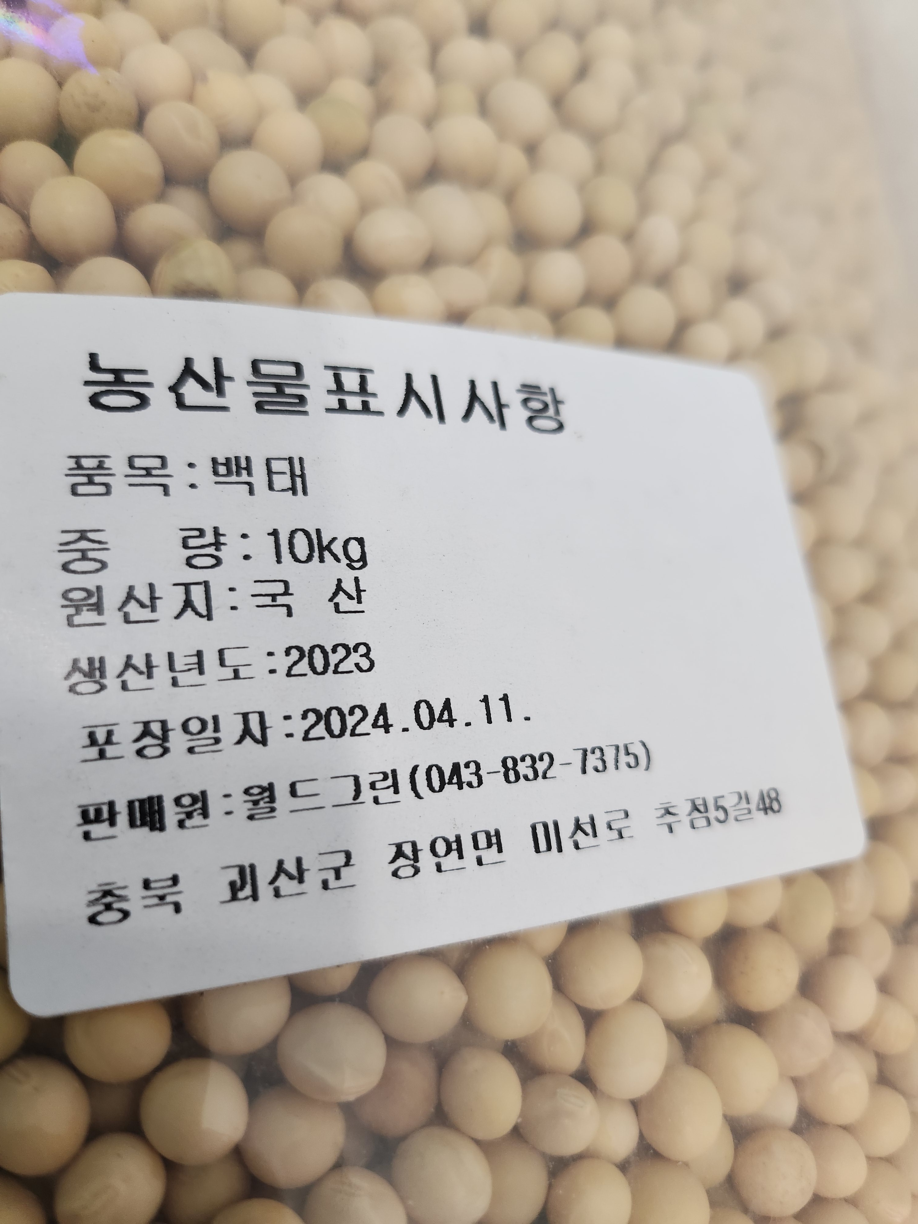 오늘두부와한끼24 대전관저점