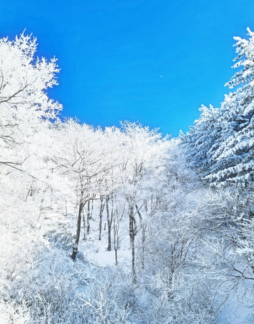 포레스트밸리펜션 7