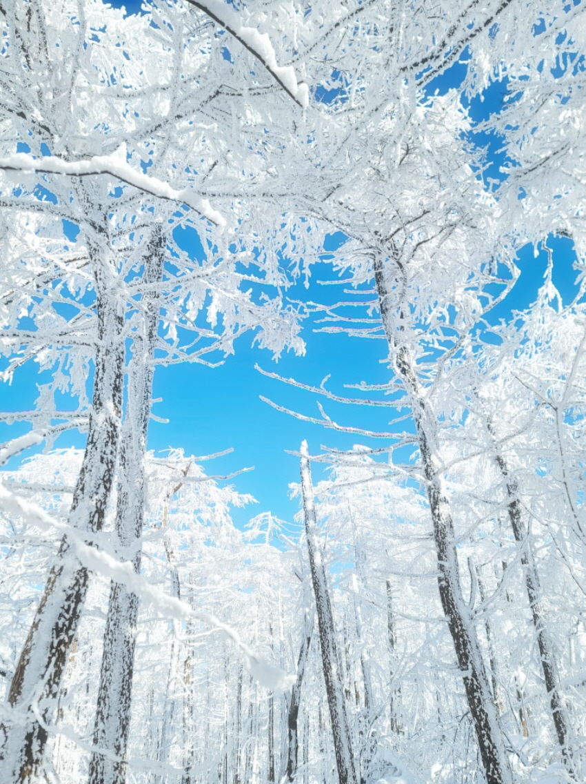 포레스트밸리펜션 6