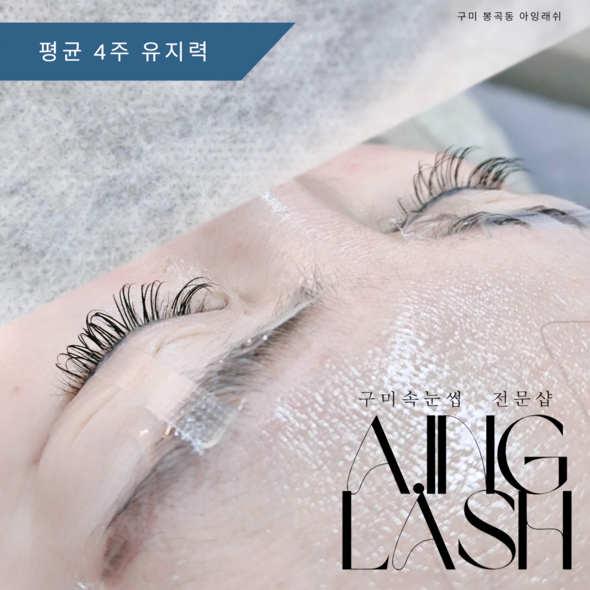 아잉래쉬