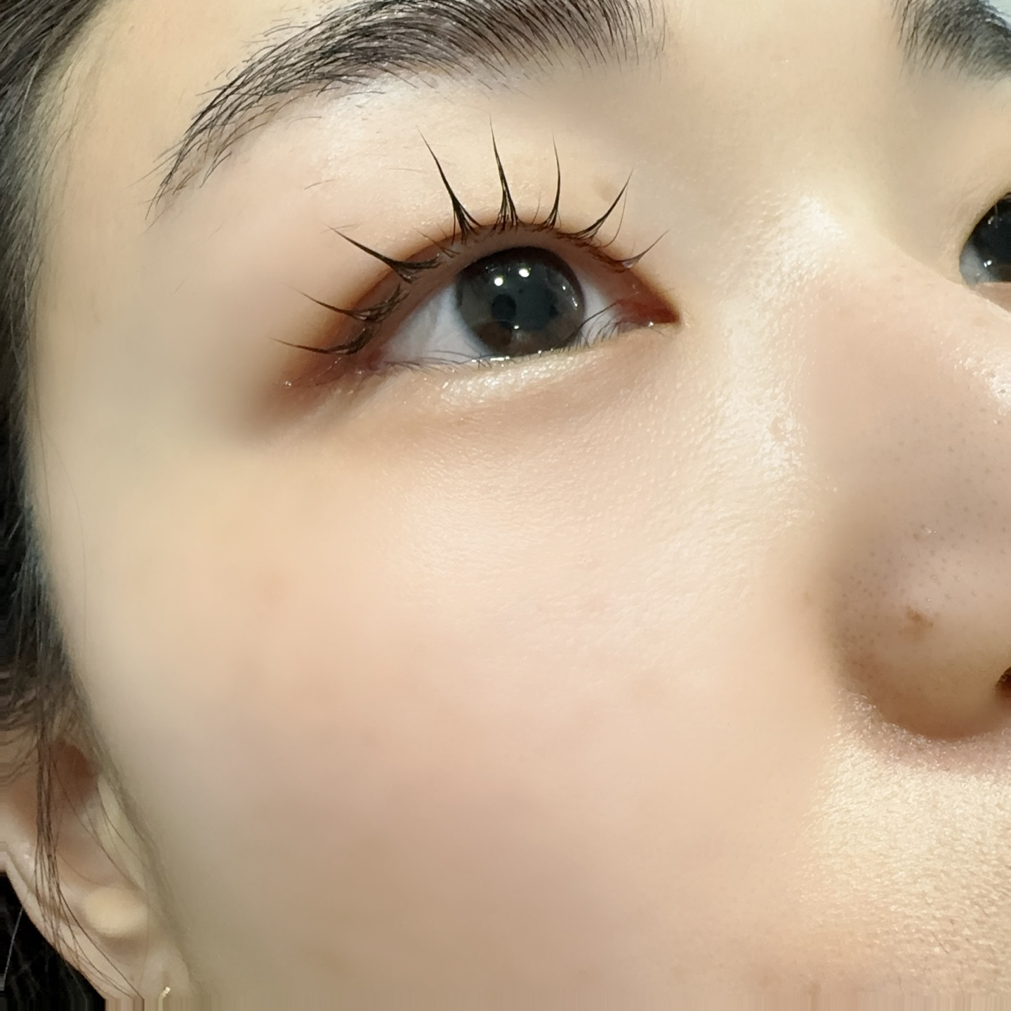 더보탬