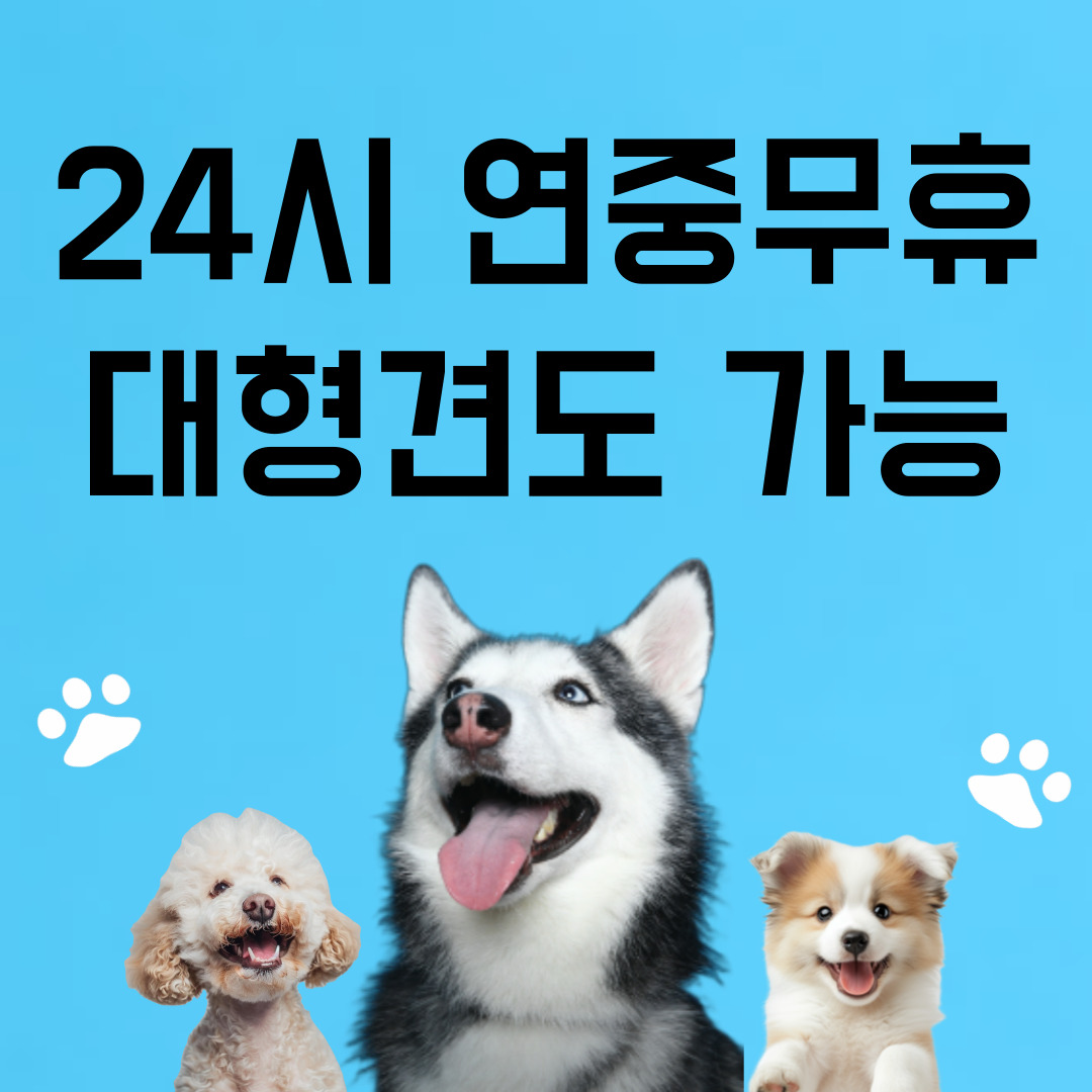 멍파 대표 이미지