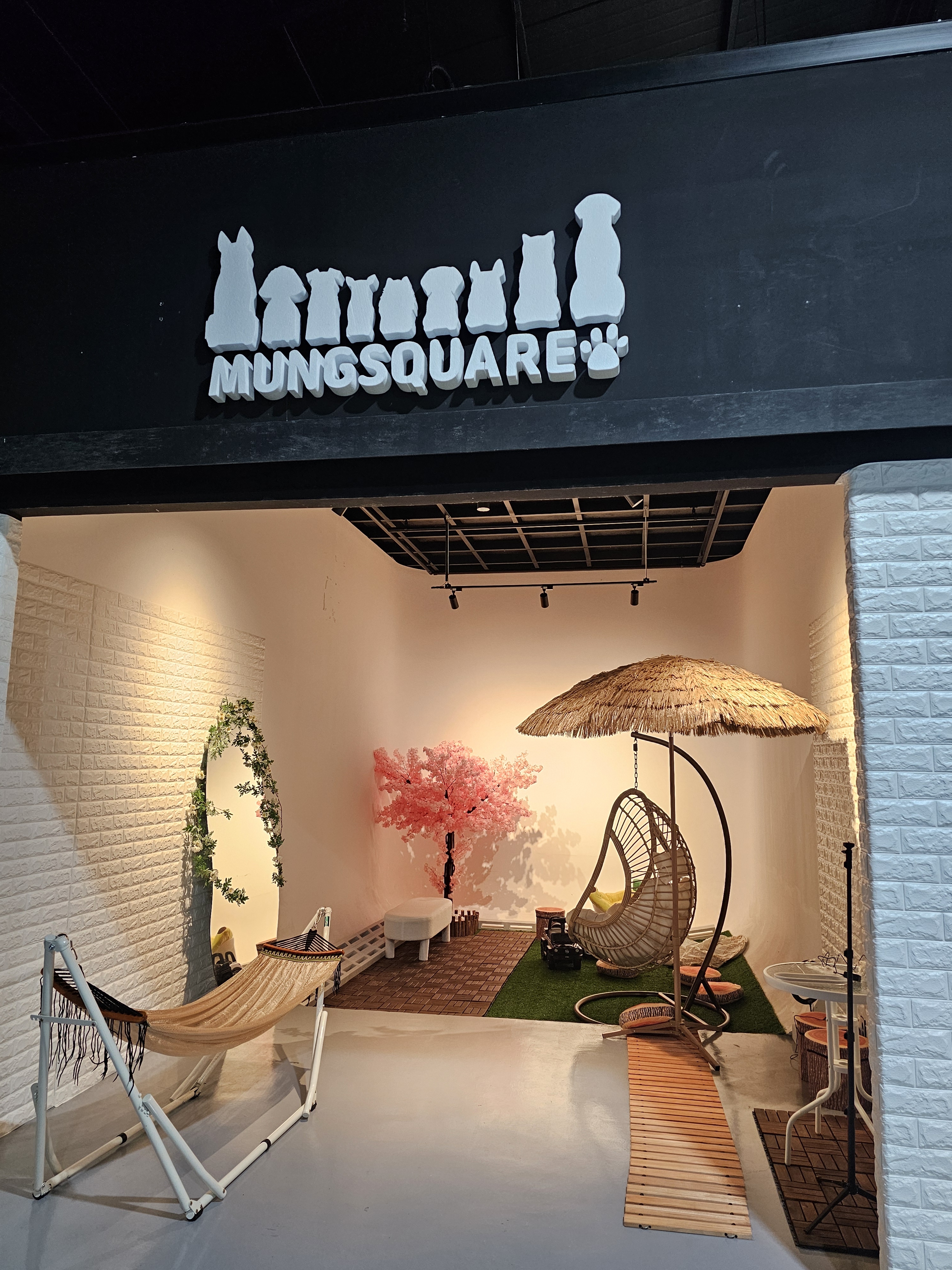 용인 애견 카페 용인 애견운동장 멍스퀘어 5