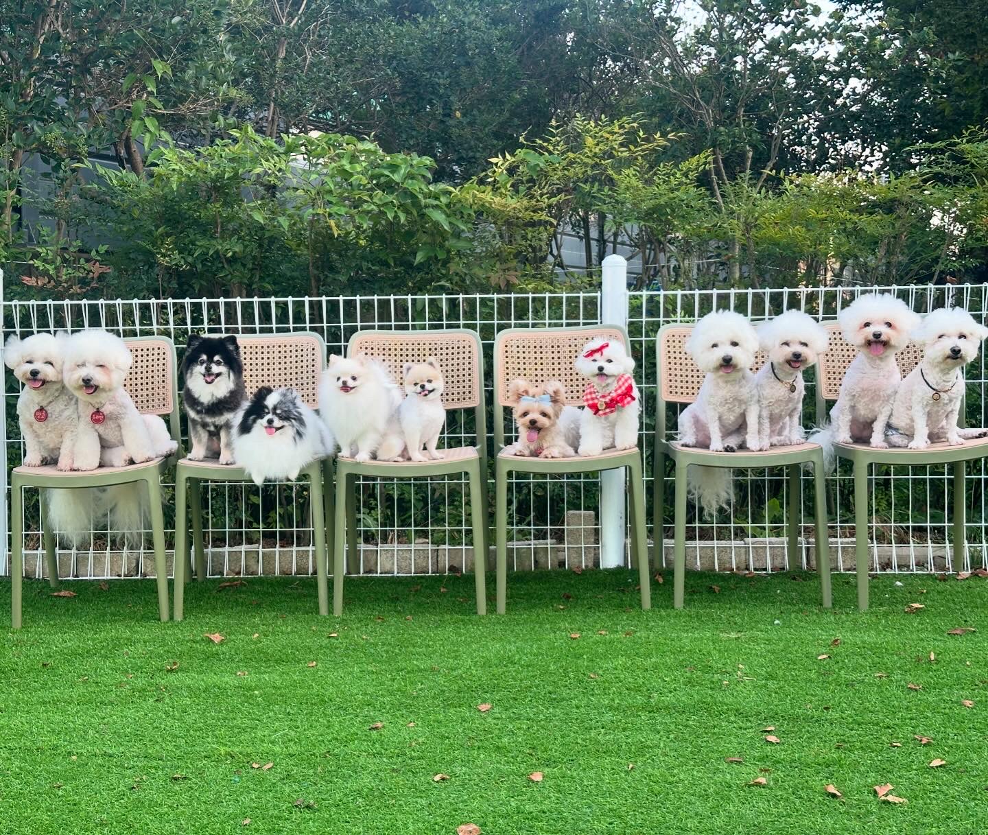 UDDD 대표 이미지