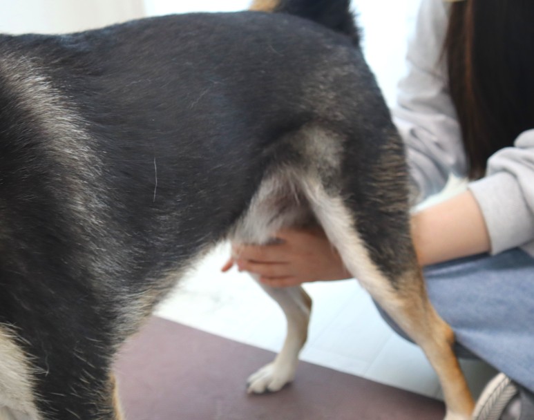 온기 photo 5
