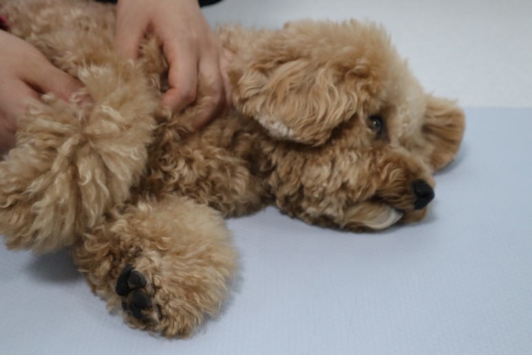 온기 photo 4