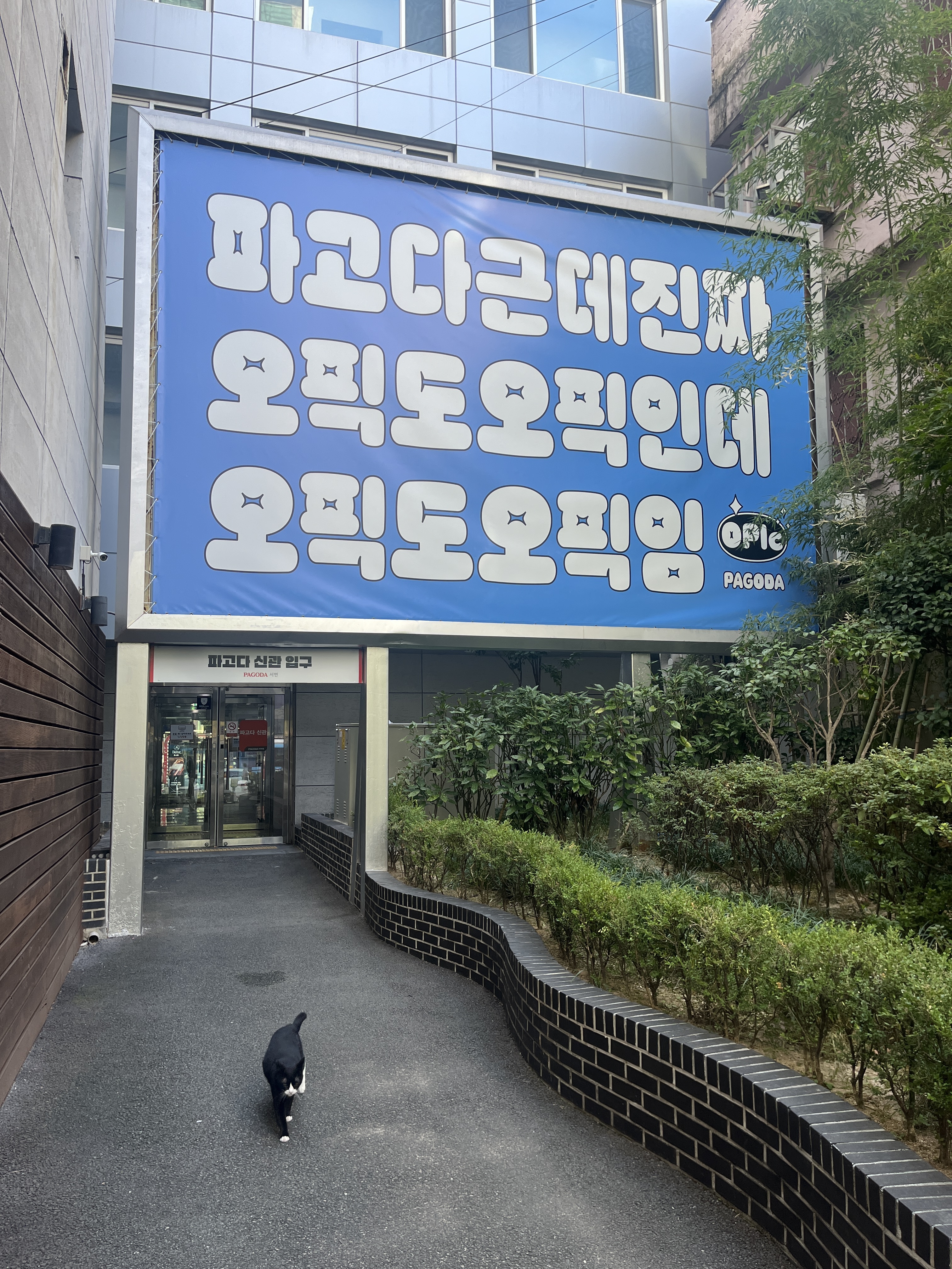 파고다어학원 서면