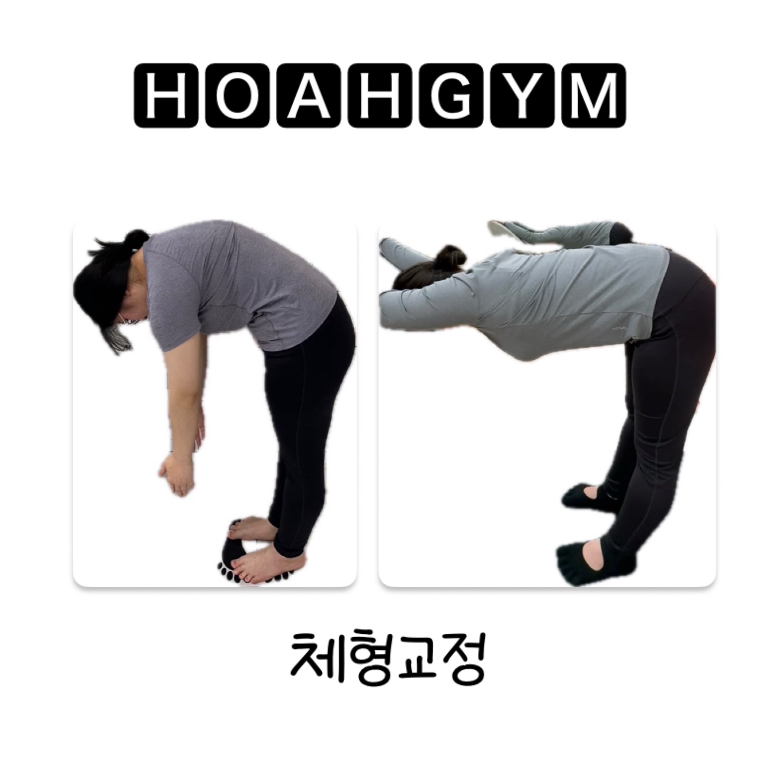 트루핏 맞춤운동연구소 대표 이미지