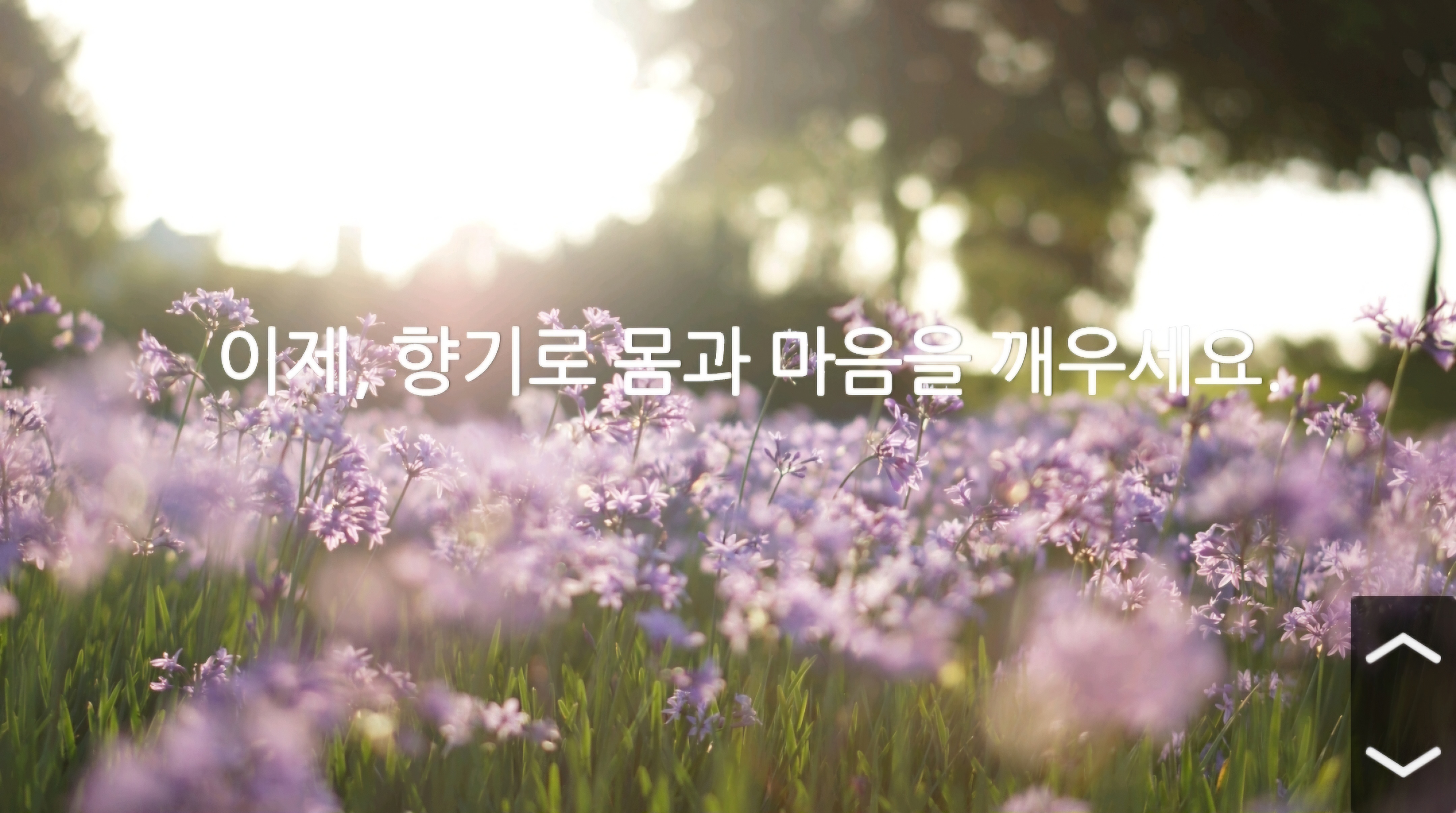 이뷰티 photo 8
