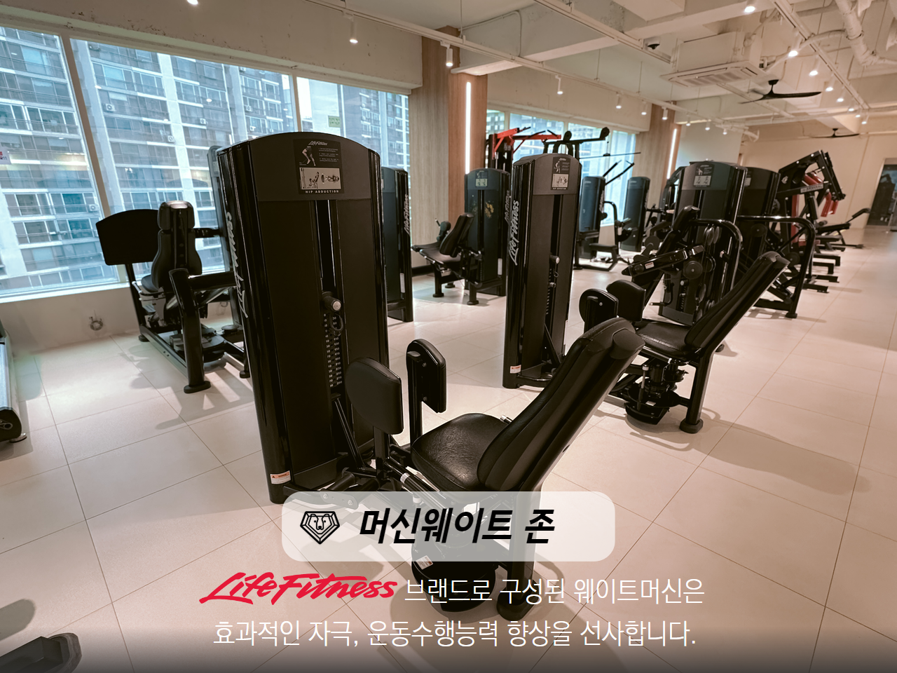 베어짐 둔산점 PT 헬스