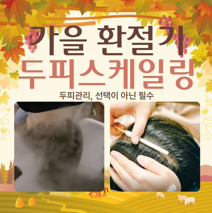 모클락 두피탈모 강남본점