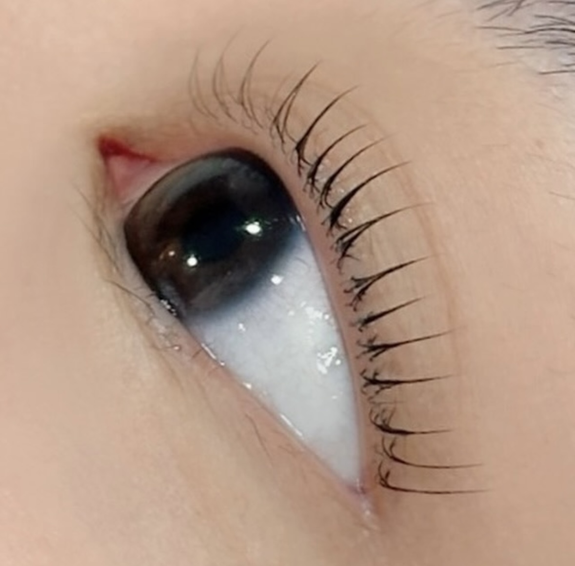 제이오브뷰티