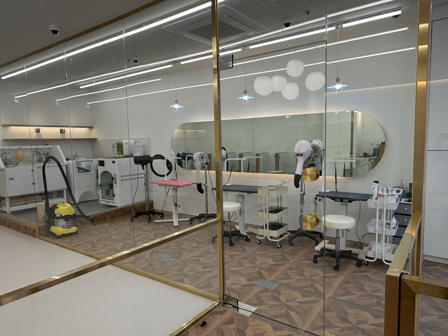 르시앙 대표 이미지