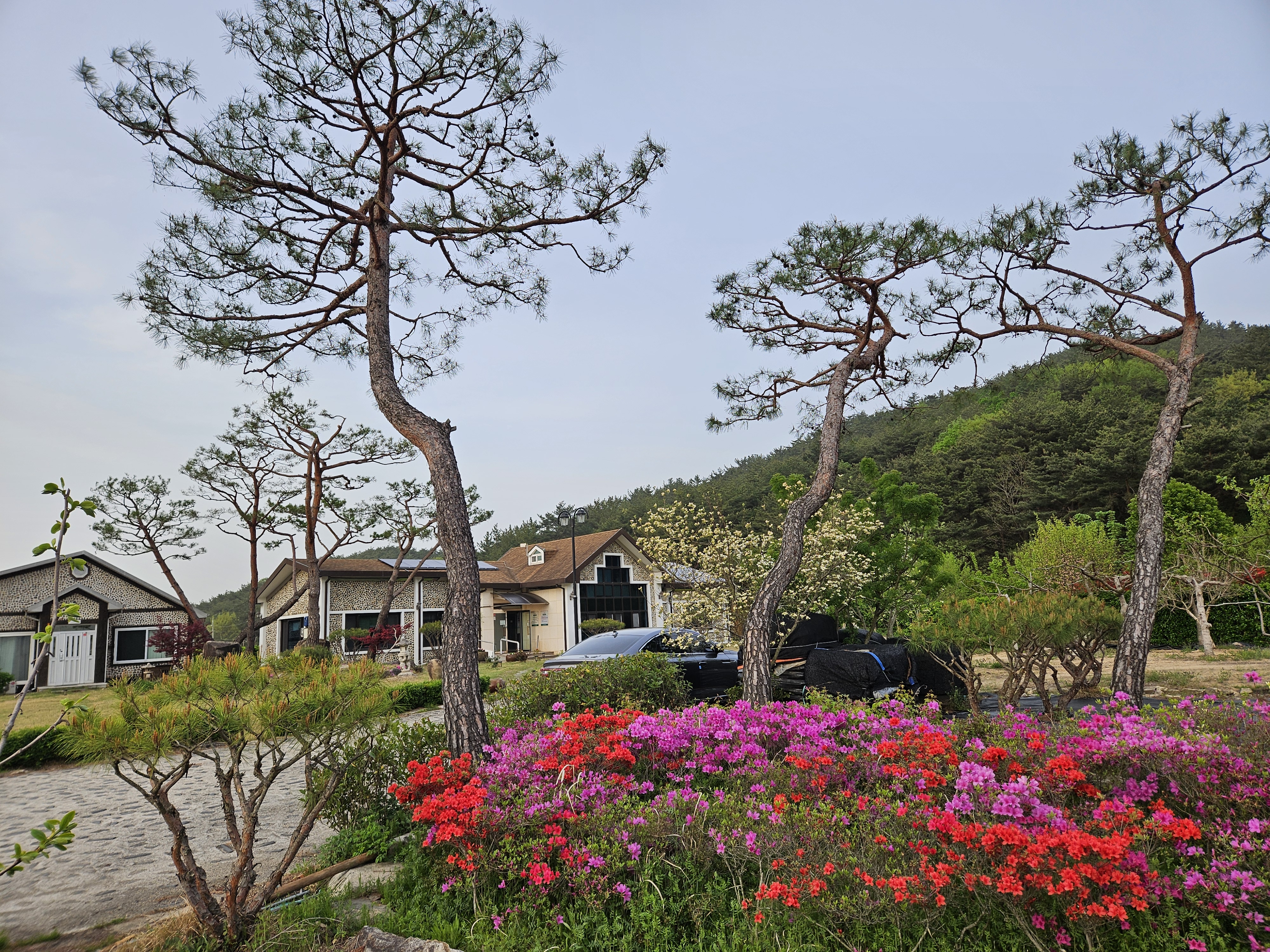 경주남산한의원 대표 이미지