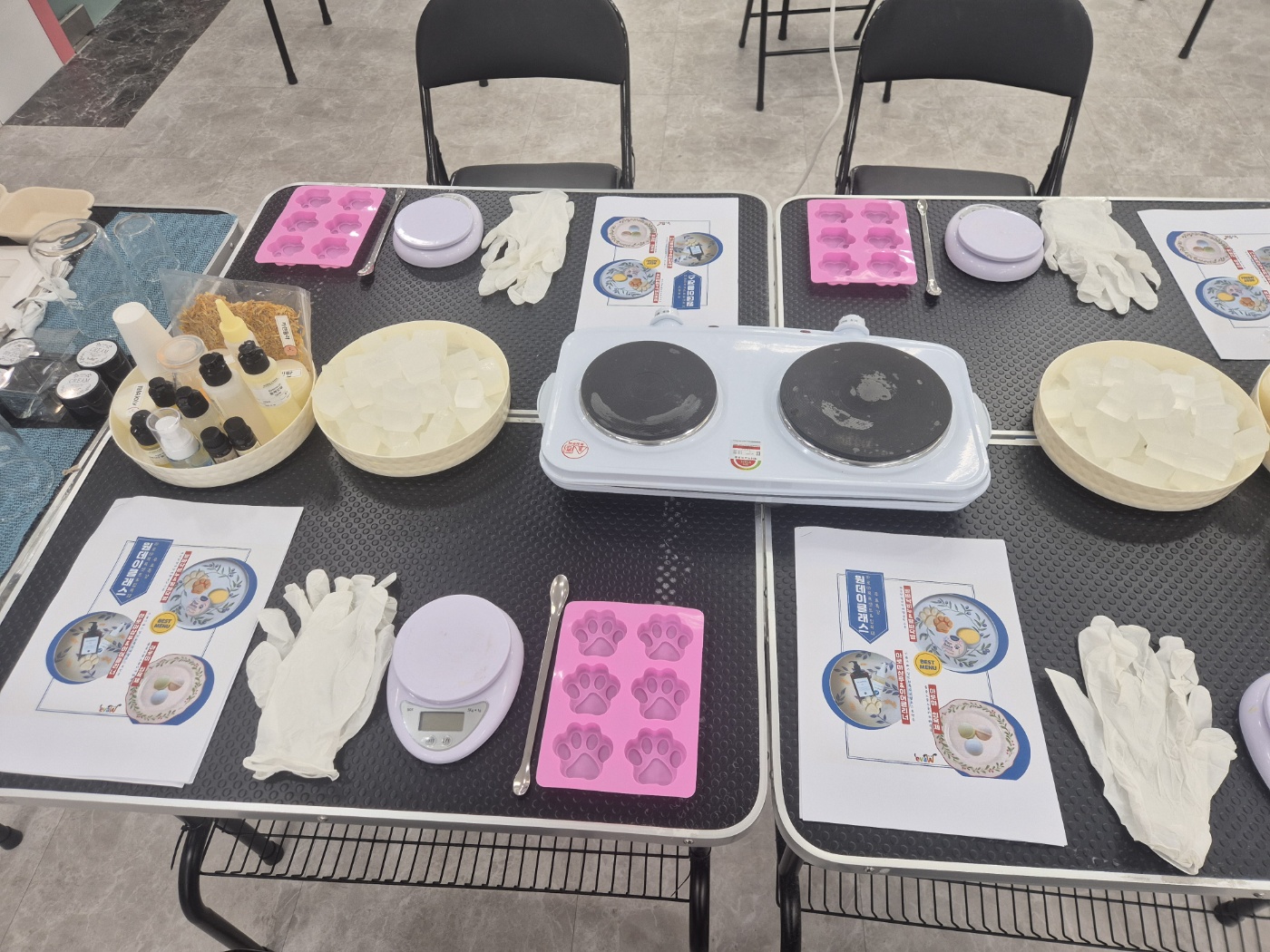 이바우펫애견미용학원 노원아카데미 대표 이미지