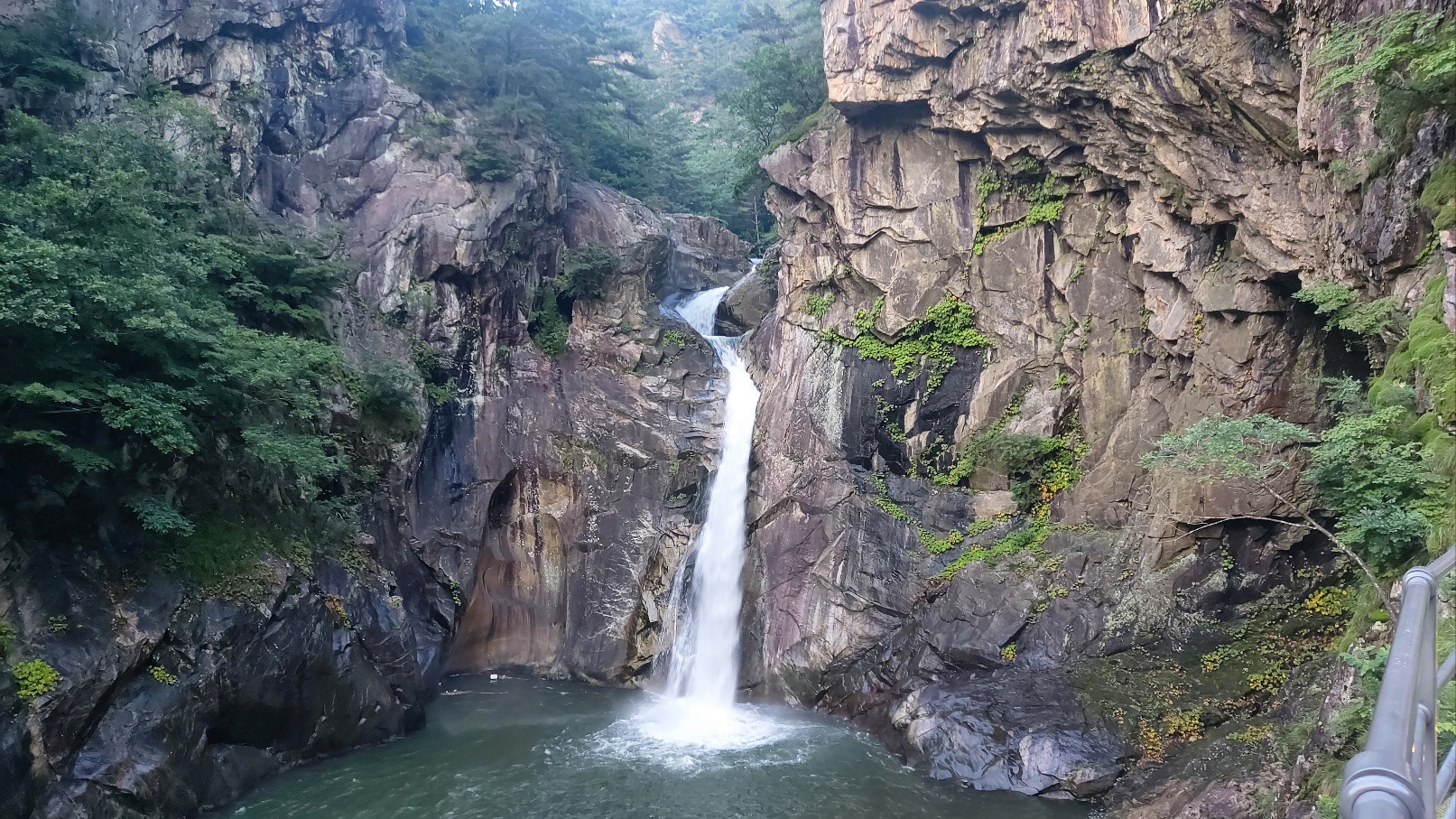 화주당