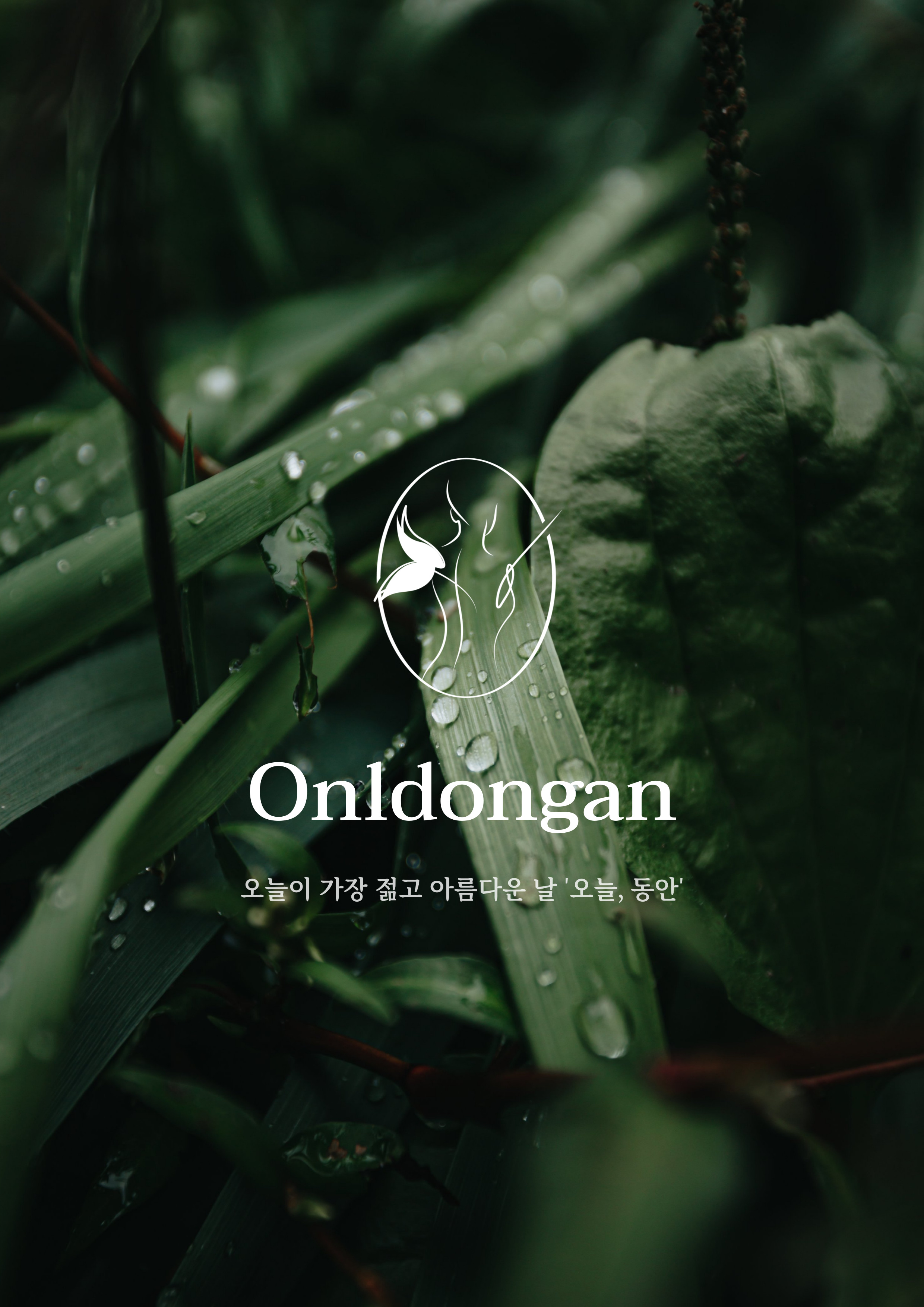 오늘,동안 자양한강점 photo 8
