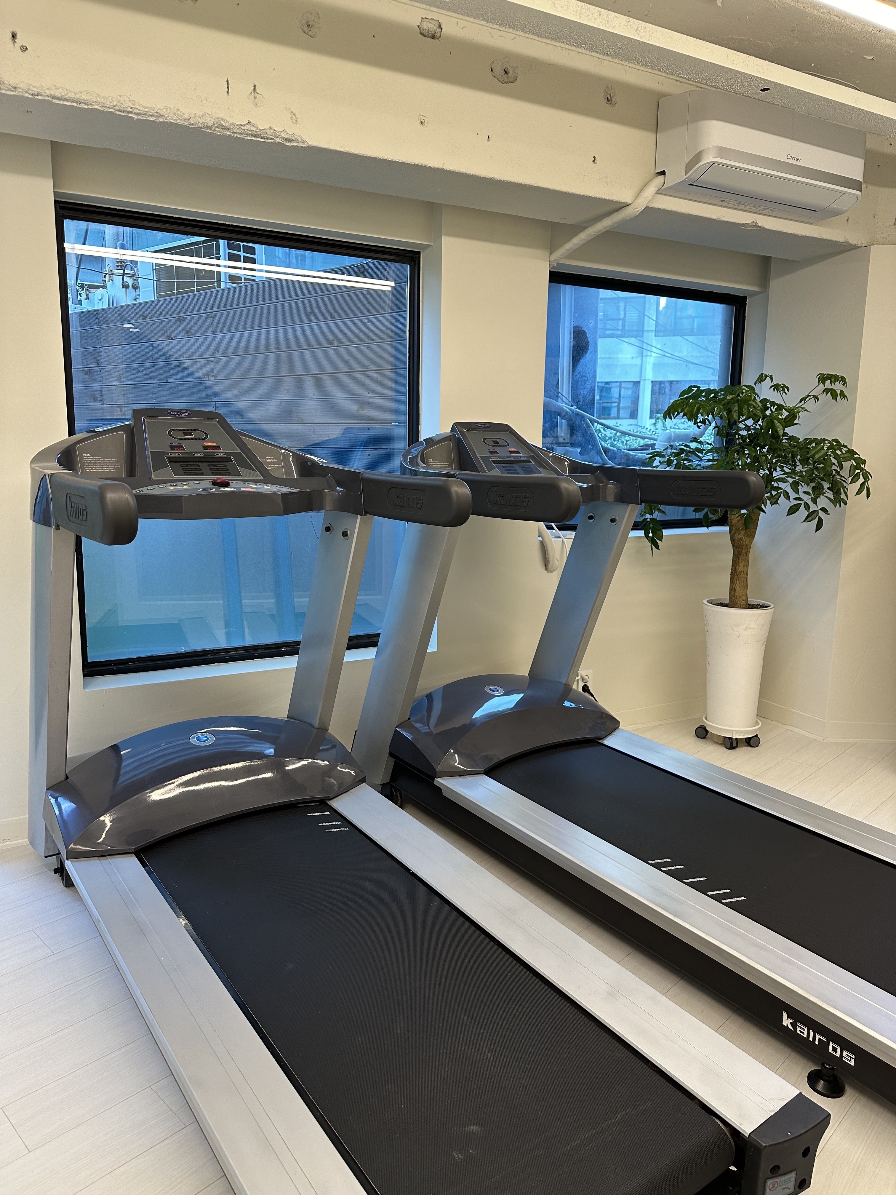 미핏스튜디오 대표 이미지