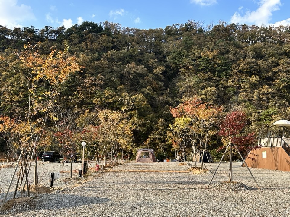 숲이야캠핑장