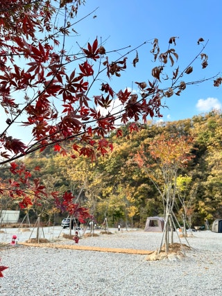 재약산숲캠핑장