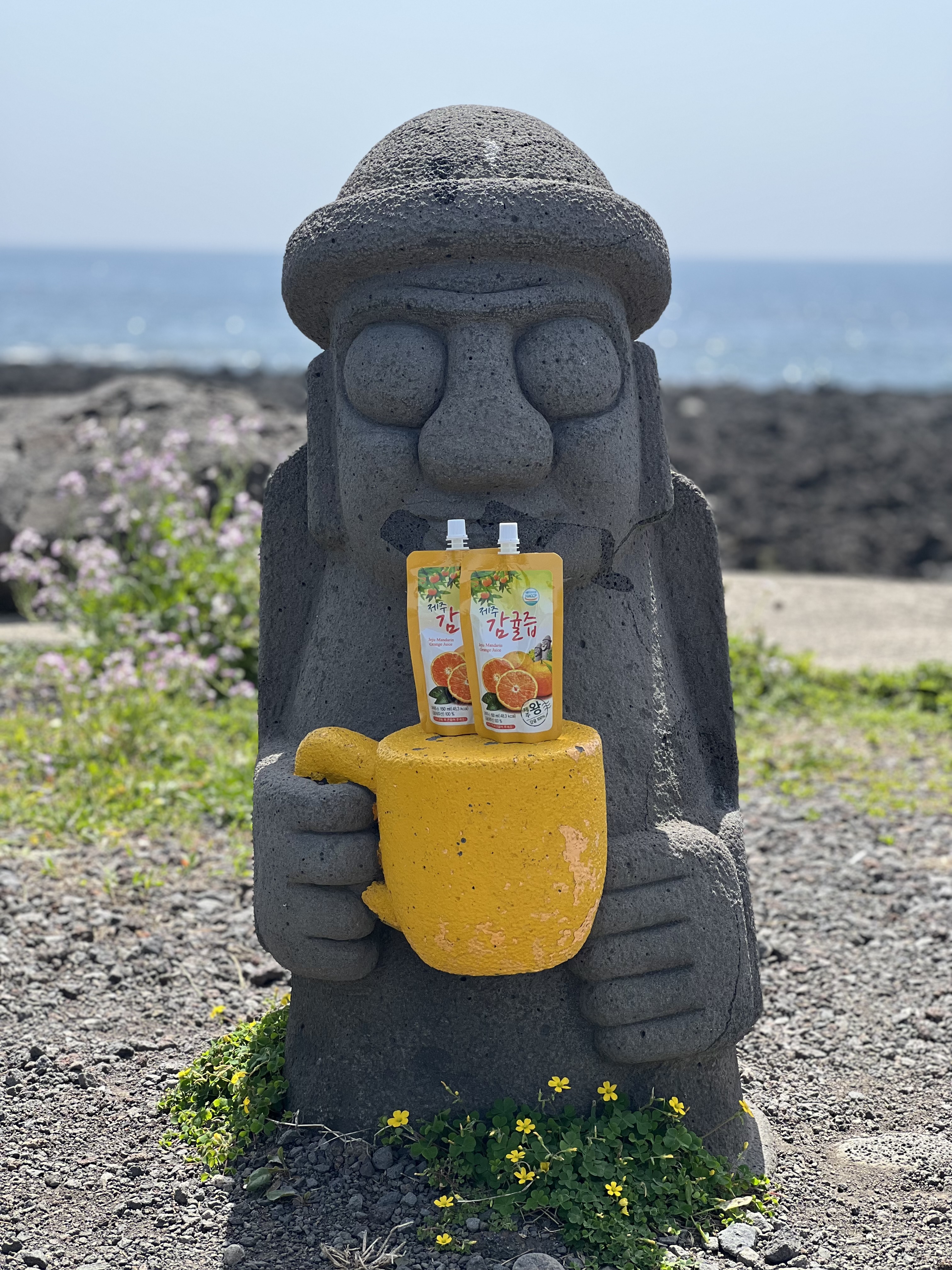 제주5남매농원