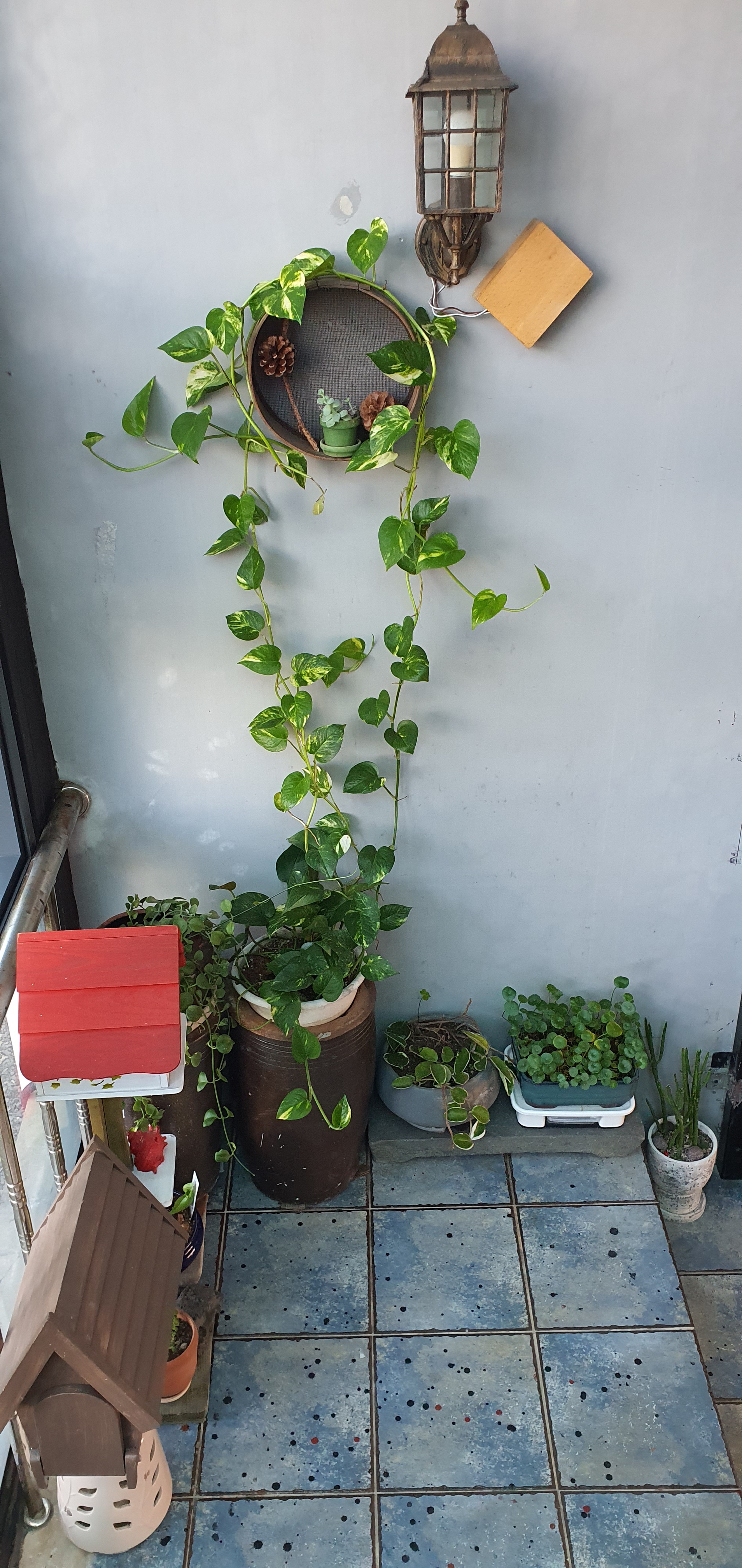 노고로기