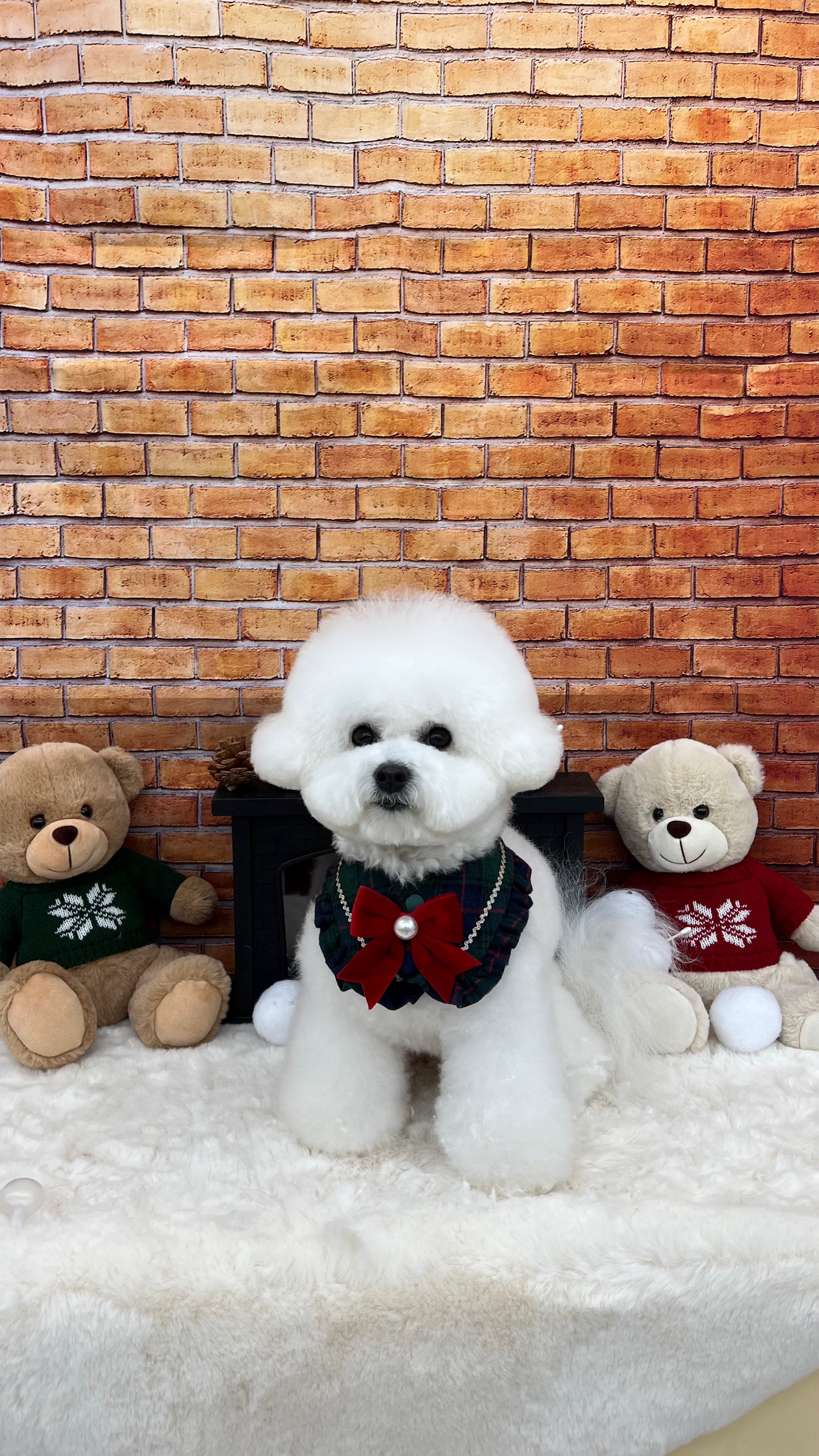 이따봐요