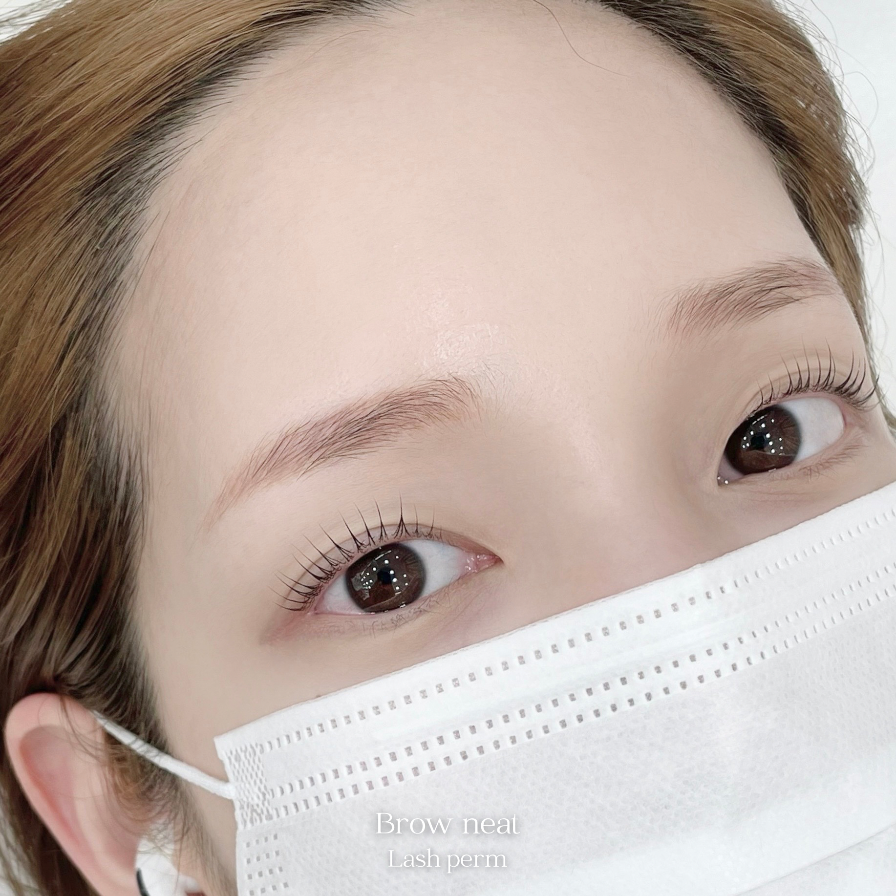 브로우닛