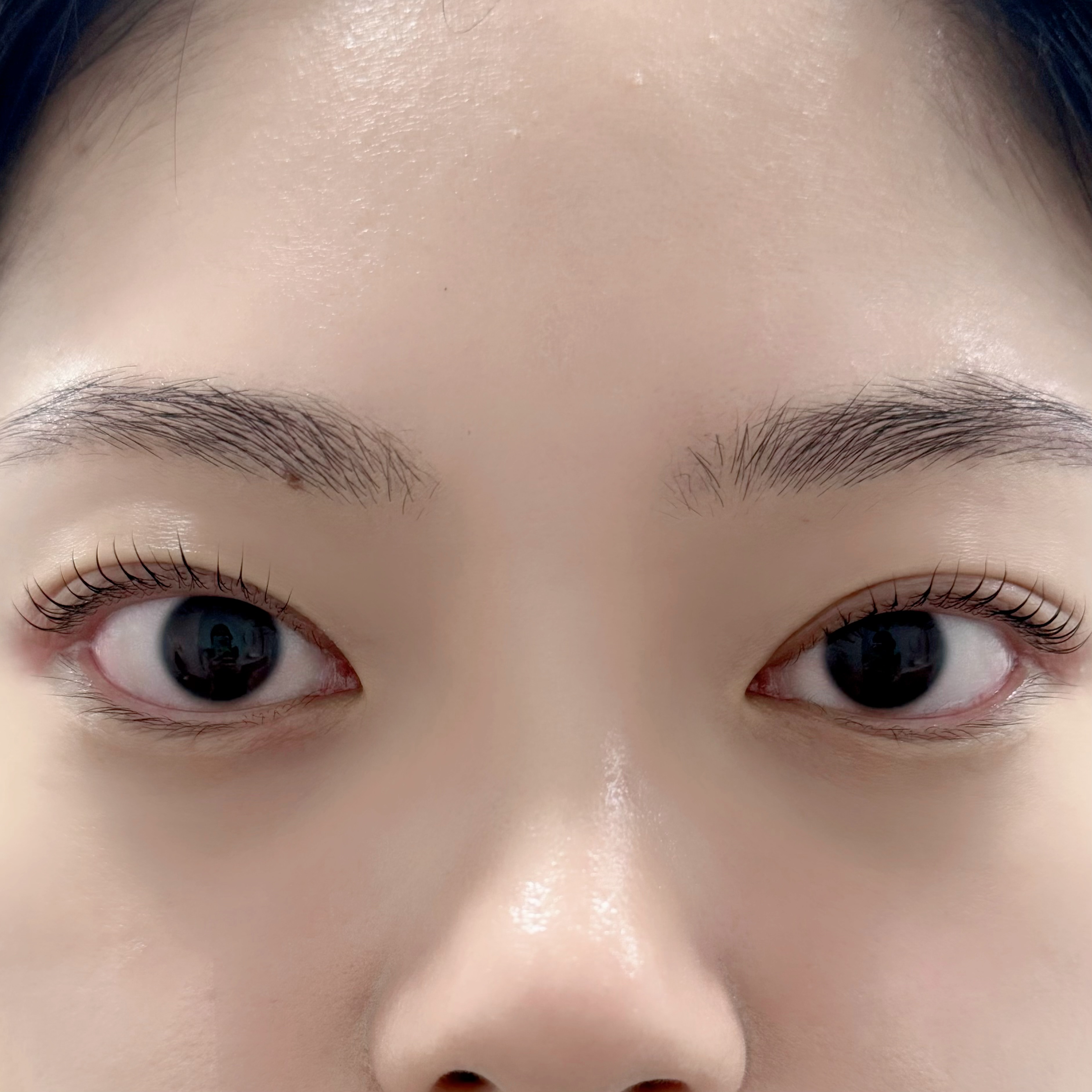 프롬미유