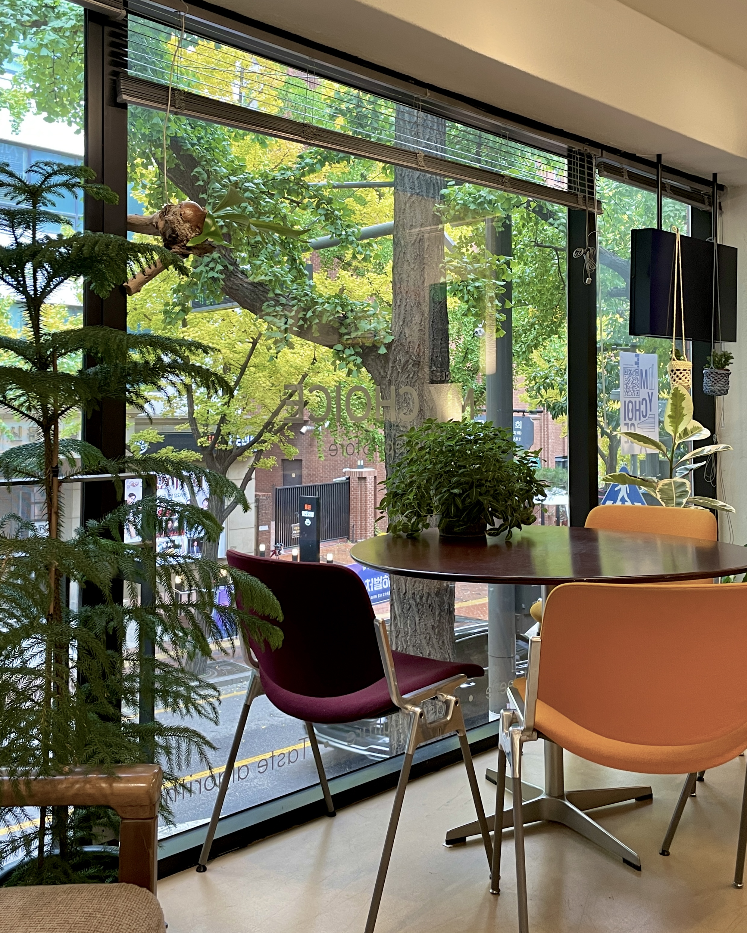 마이초이스 정동 대표 이미지