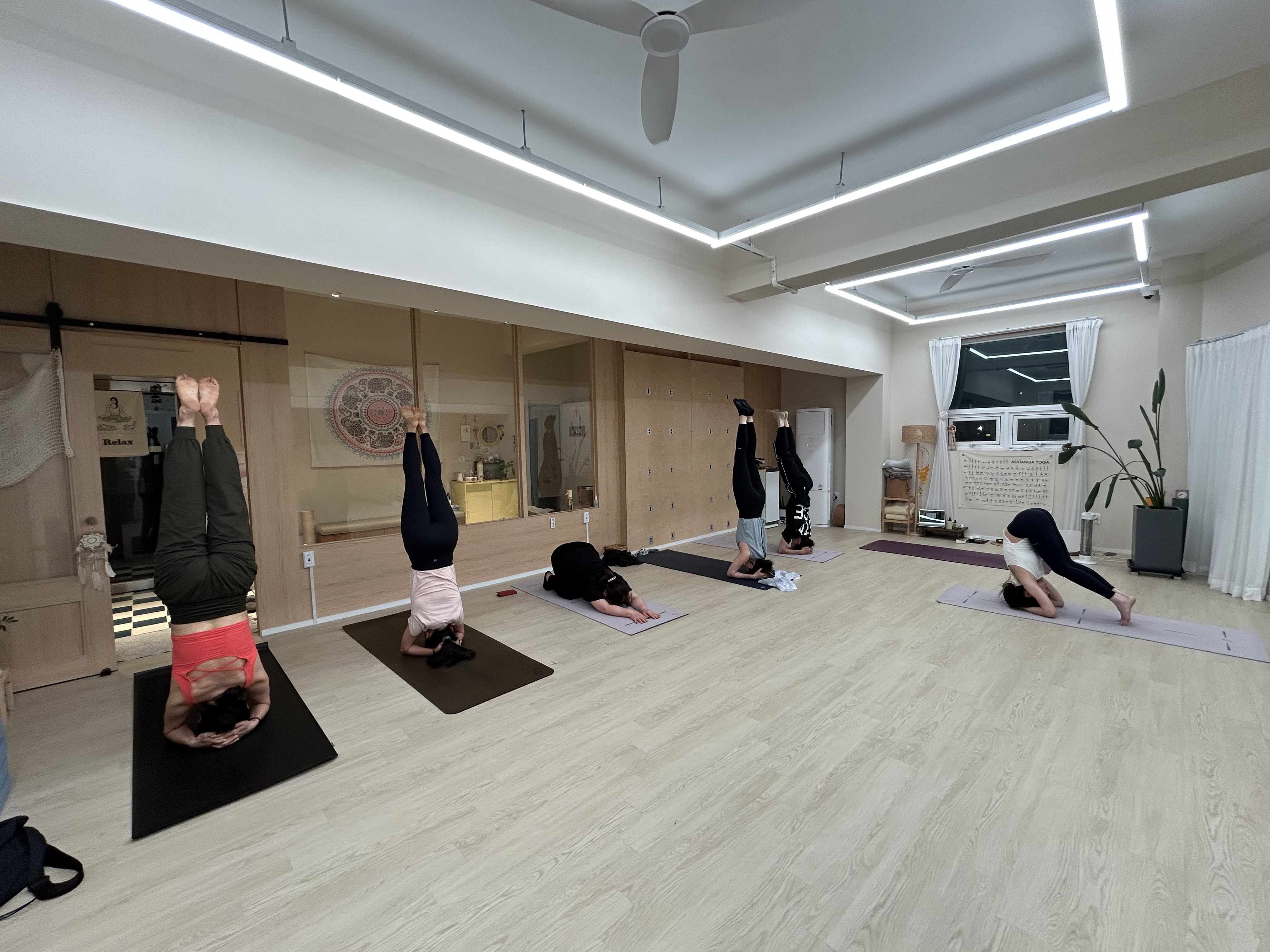 단다요가 대표 이미지