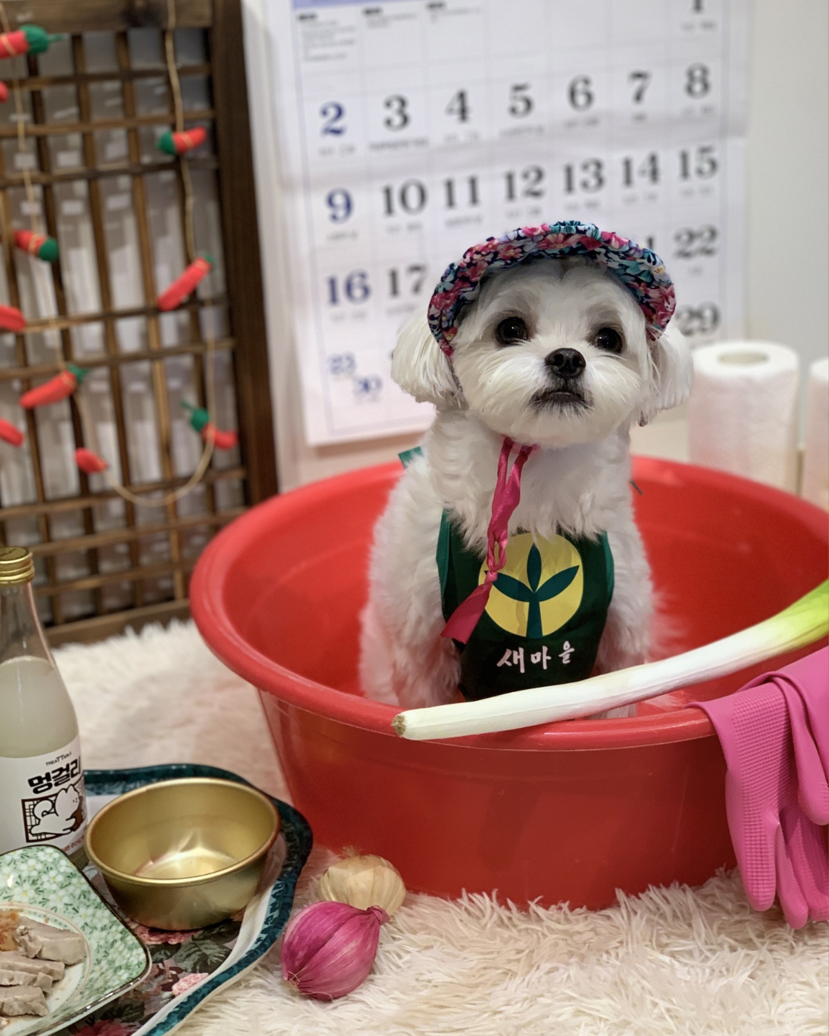 옐레드 부천상동점 대표 이미지