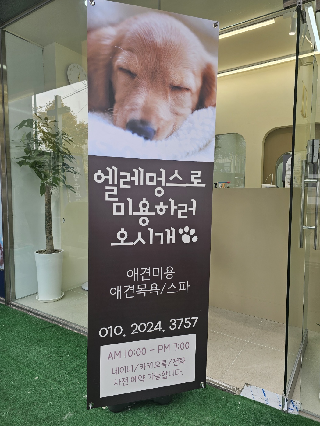 엘레멍스 대표 이미지