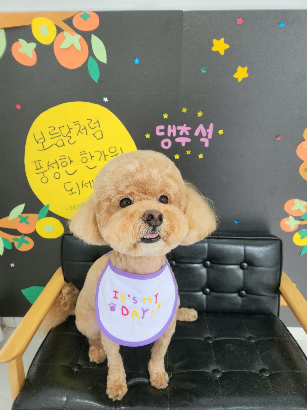 그루밍솔루션 운정가람점 대표 이미지