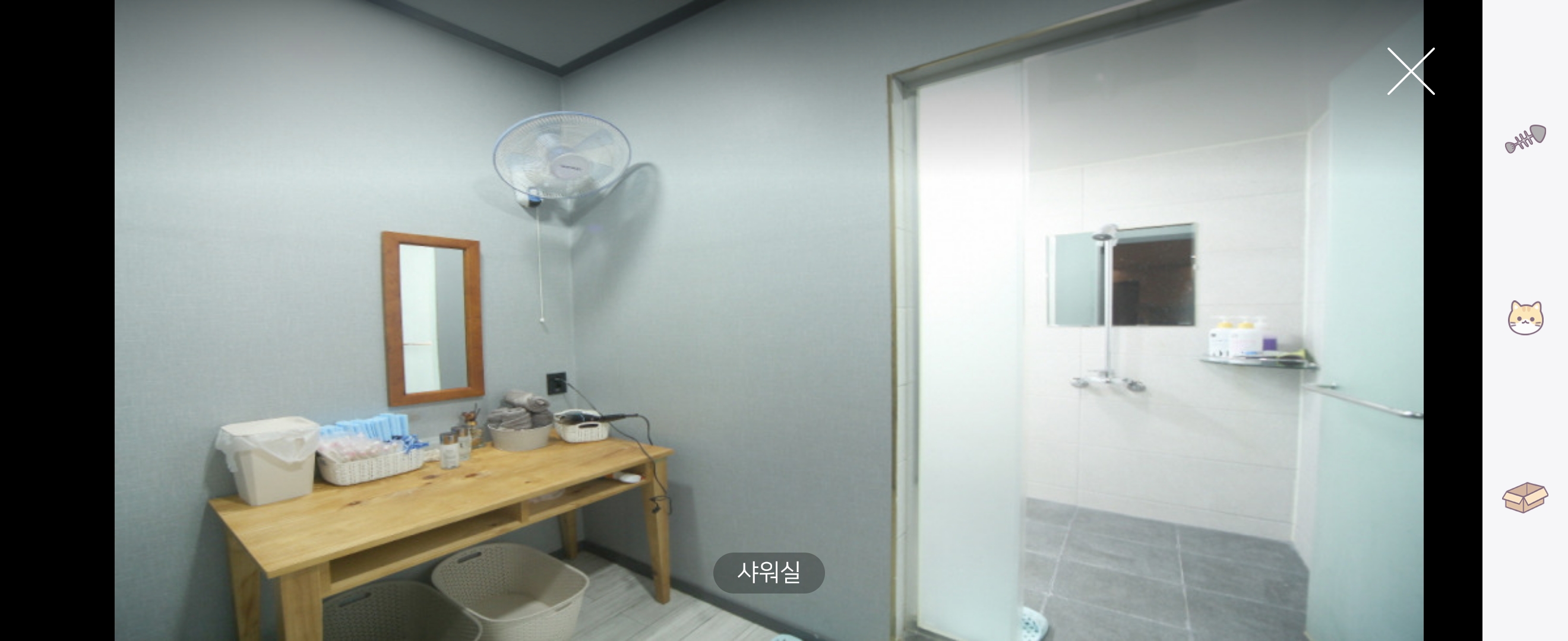 신호더타이 photo 2