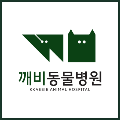 깨비동물병원