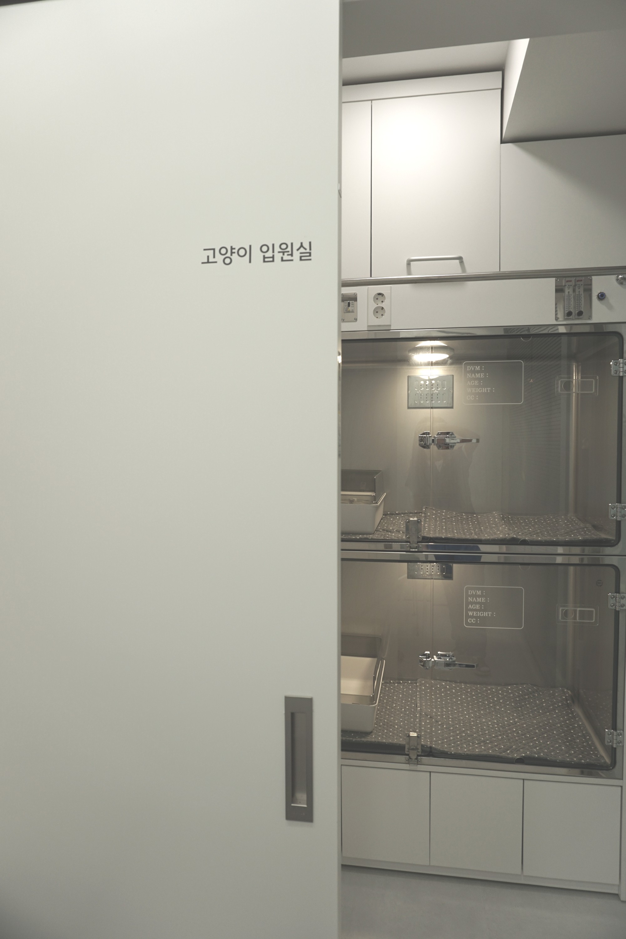 깨비동물병원 고양이 입원실 이미지