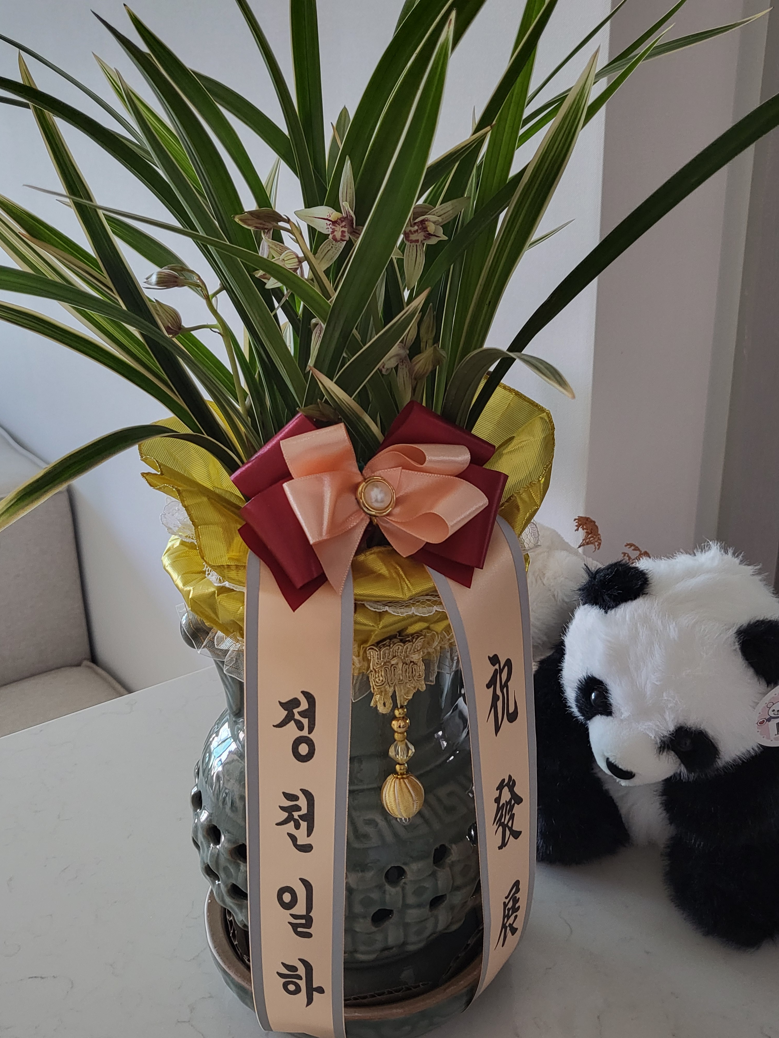 꿀택스 박혜정 세무사 대표 이미지