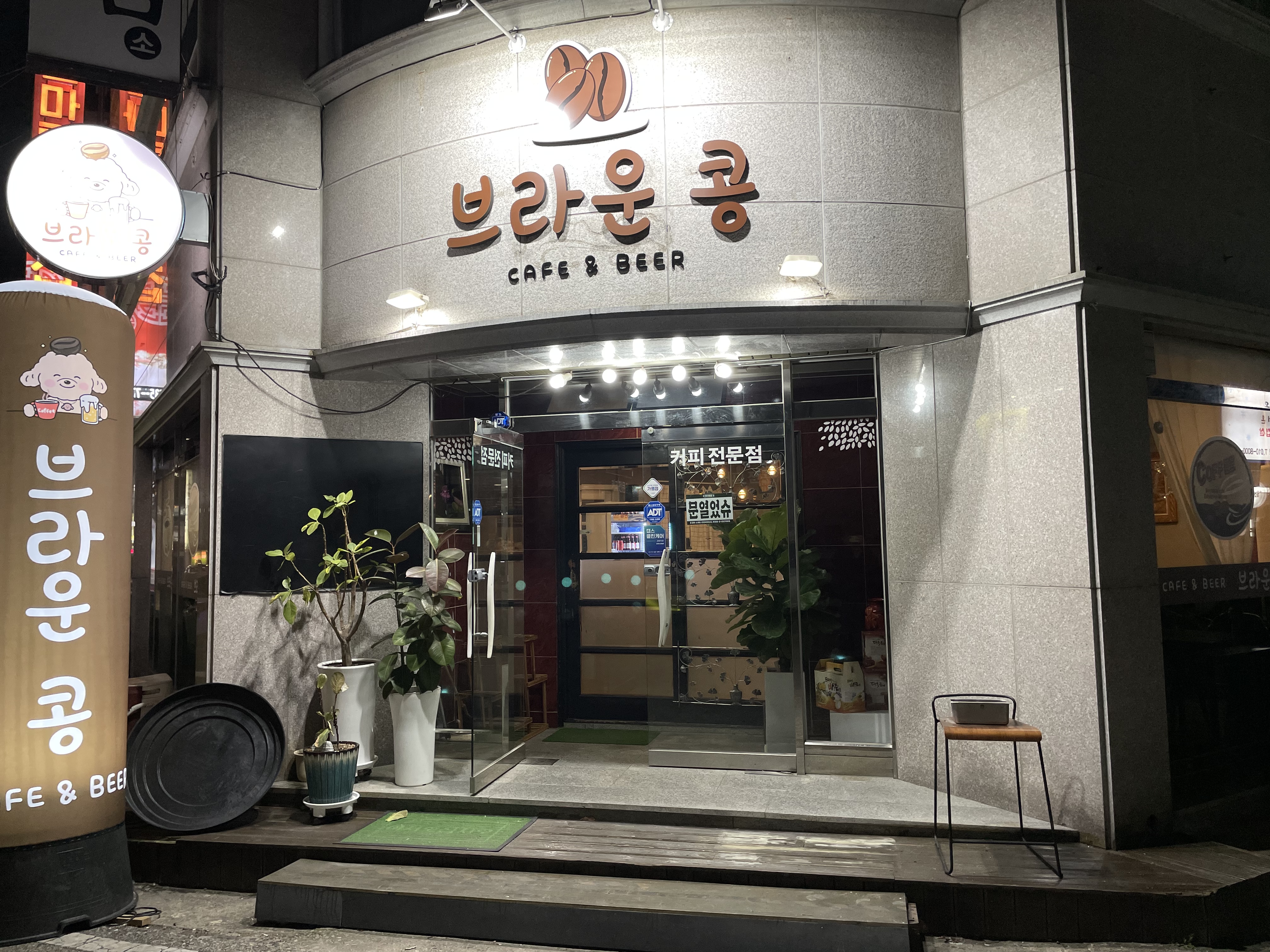 브라운 콩 대표 이미지