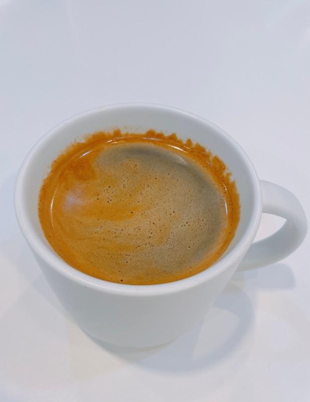 방다방로스터스 서울 애견맛집